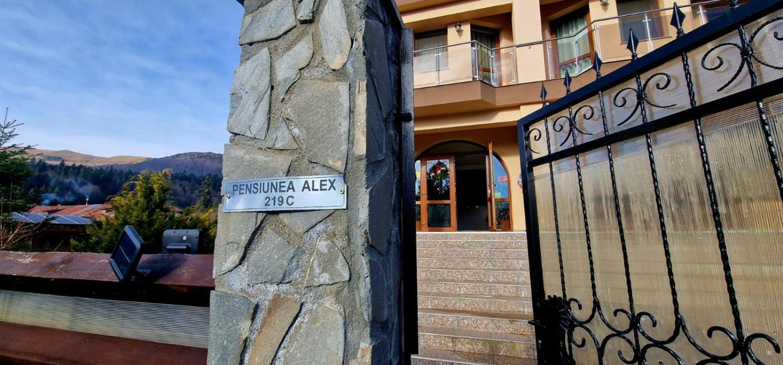 Pensiunea Alex view 3