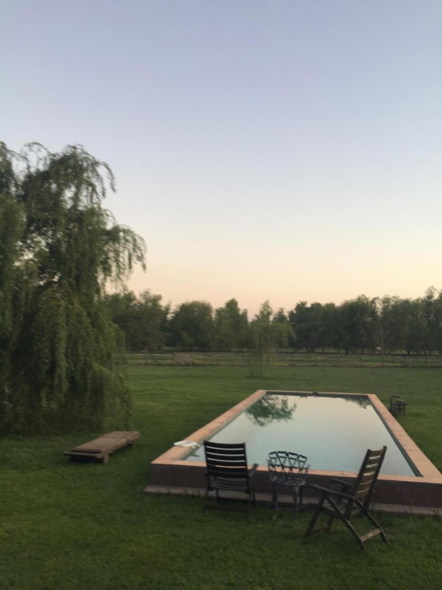 Los Patios Haras El Malacate - Image 2