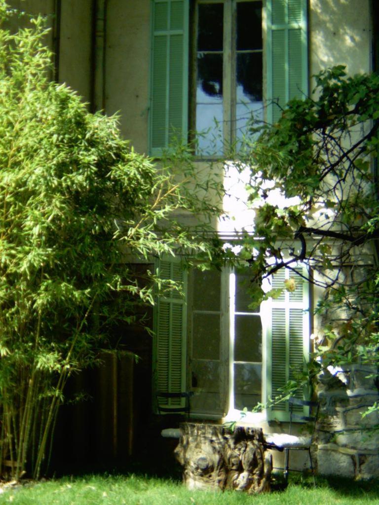Photo 7