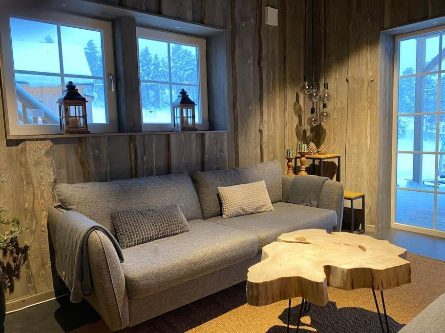 Modern Stuga med Ski Lodge känsla view 3