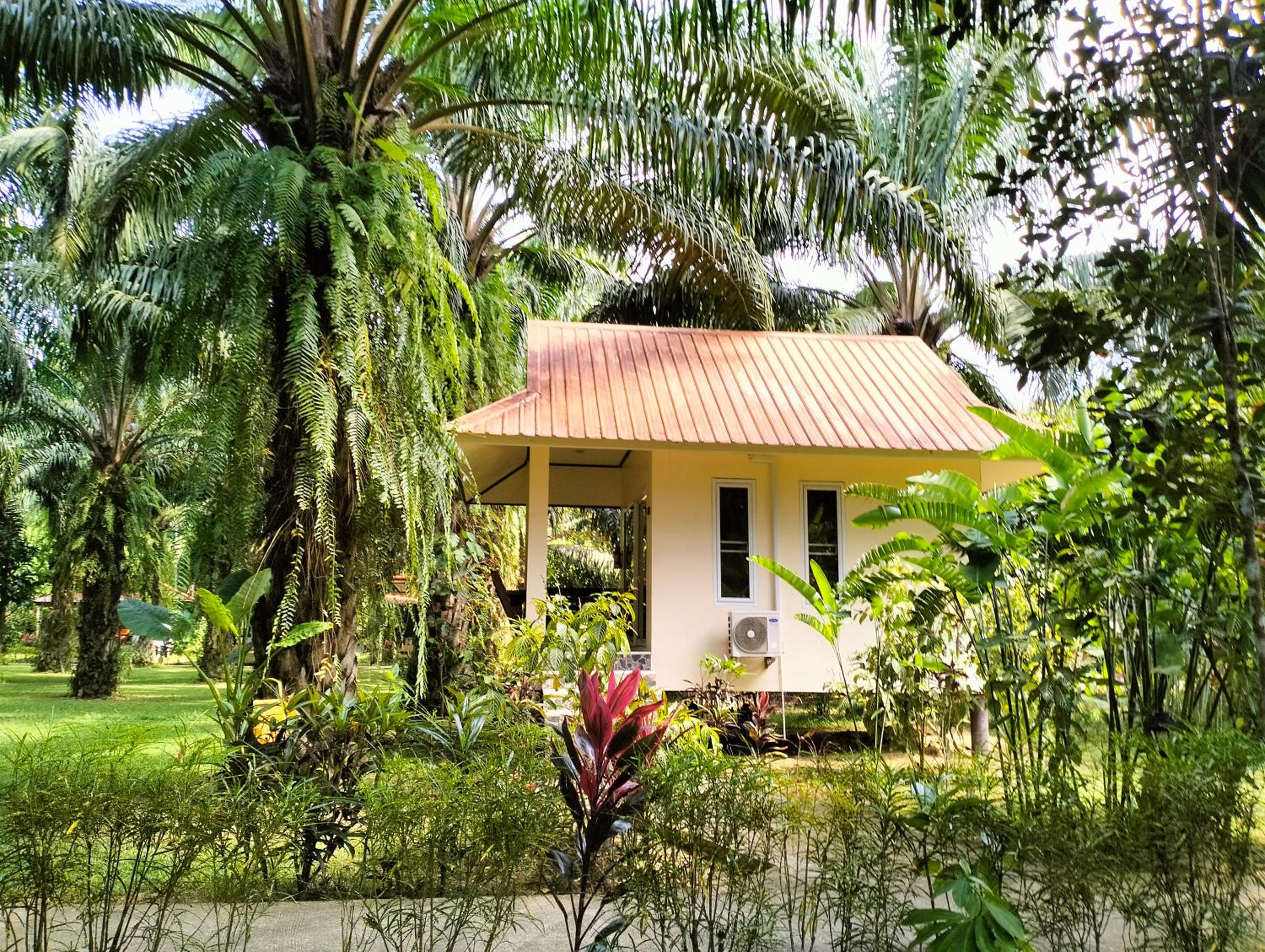 Khao Sok Palm Garden Resort