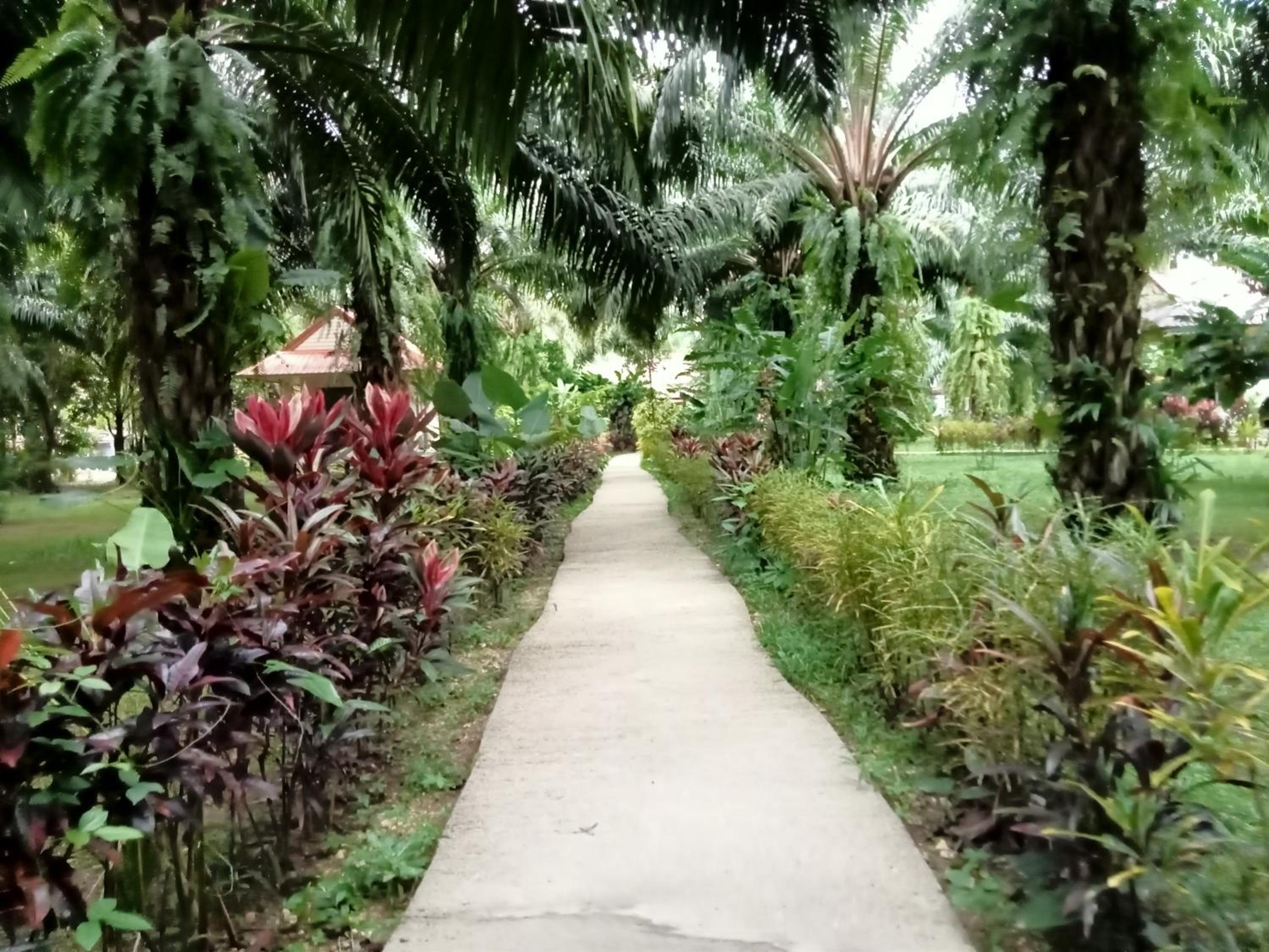 Khao Sok Palm Garden Resort