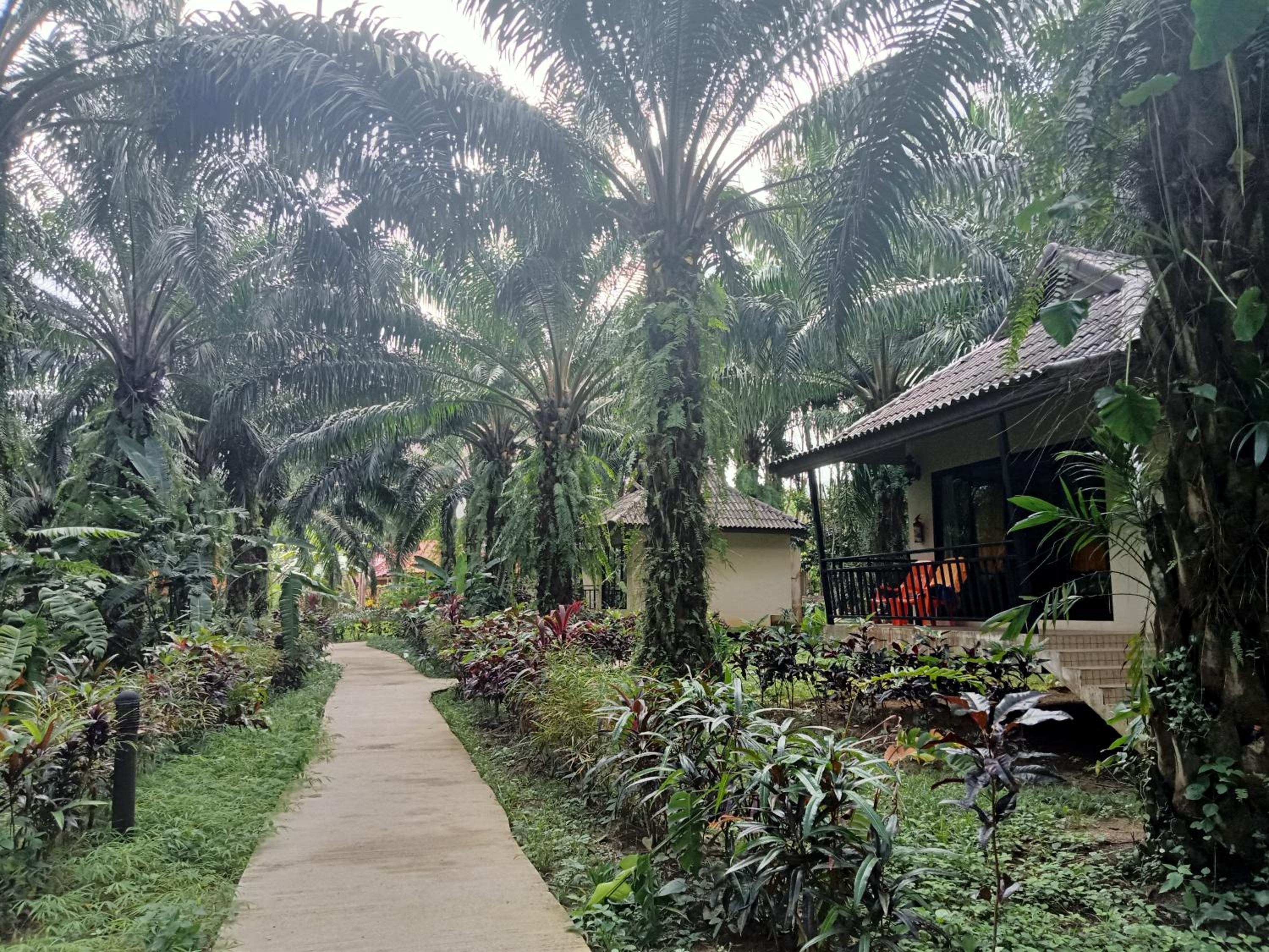 Khao Sok Palm Garden Resort