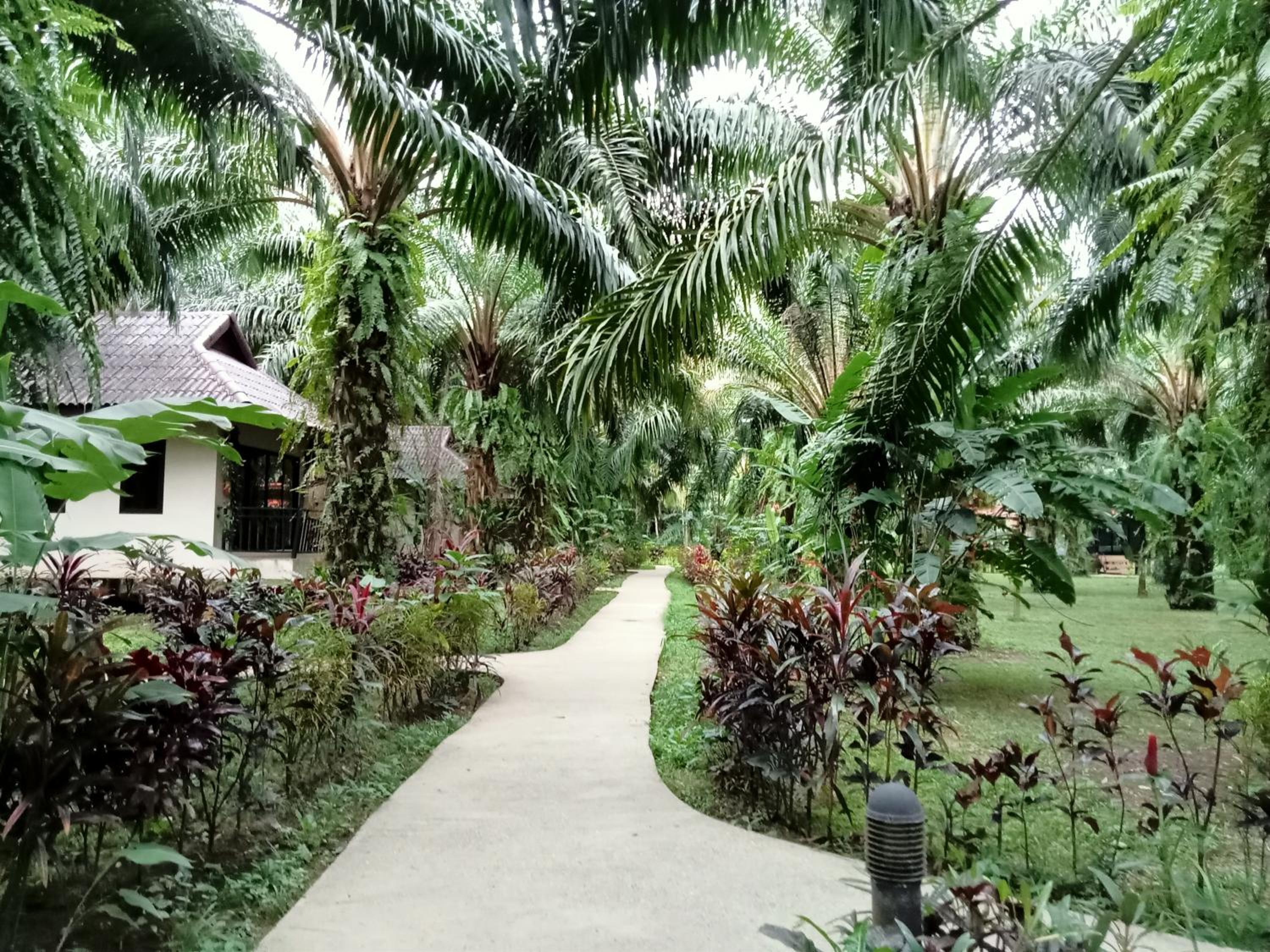 Khao Sok Palm Garden Resort