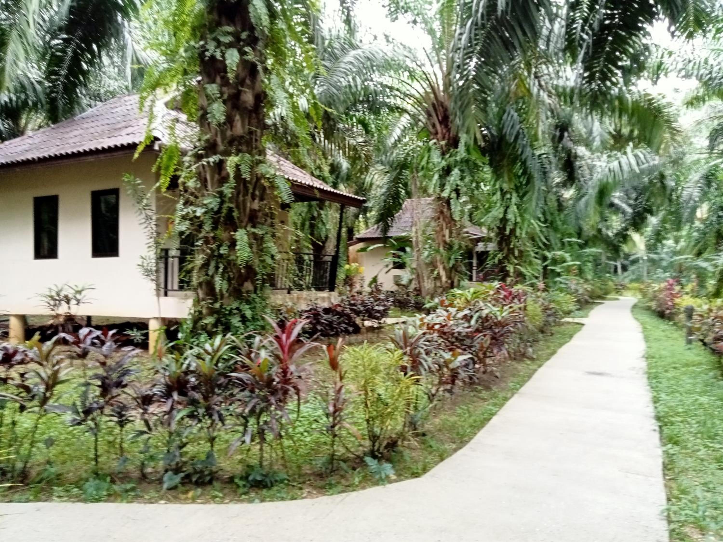 Khao Sok Palm Garden Resort