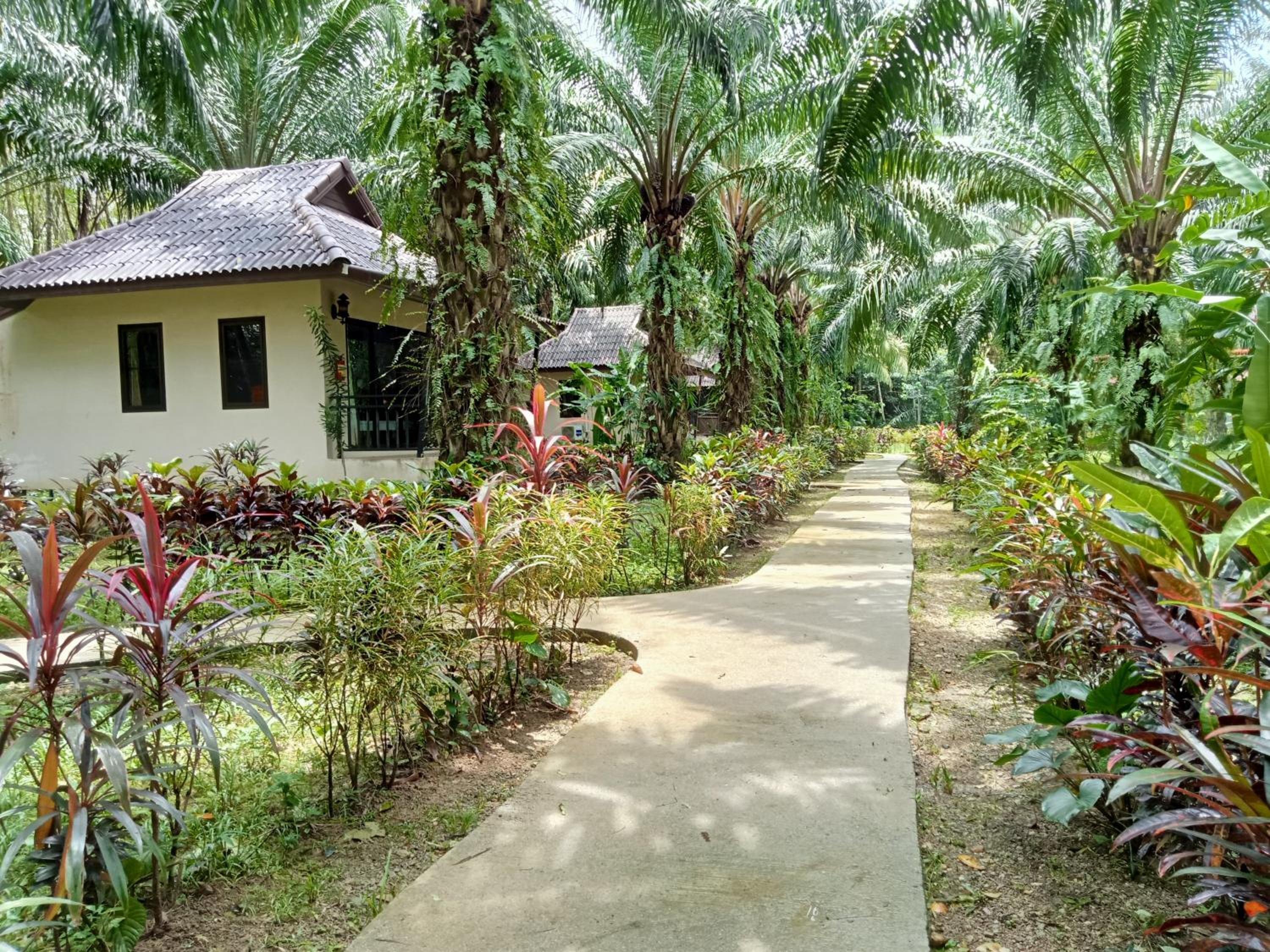Khao Sok Palm Garden Resort
