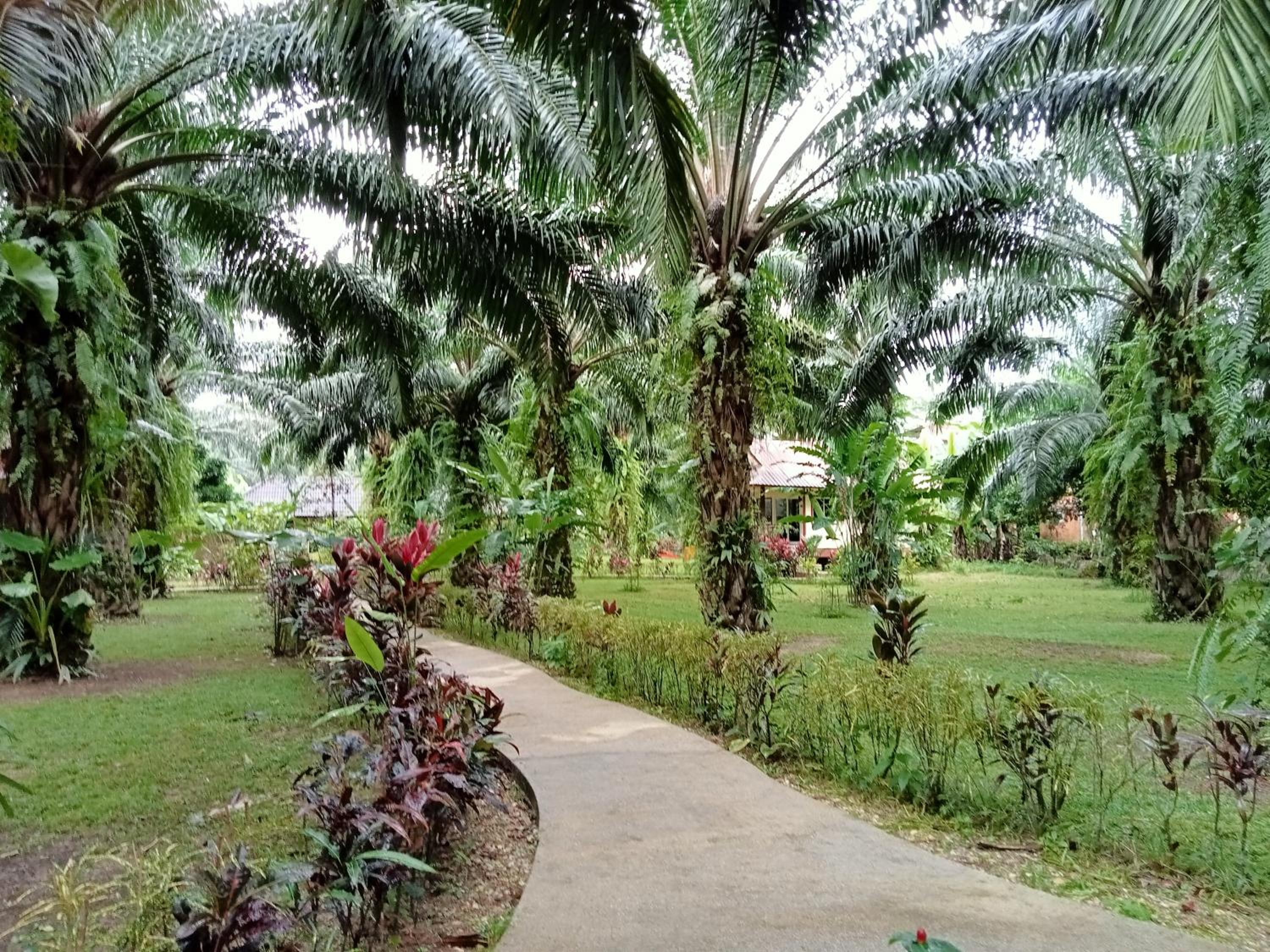 Khao Sok Palm Garden Resort