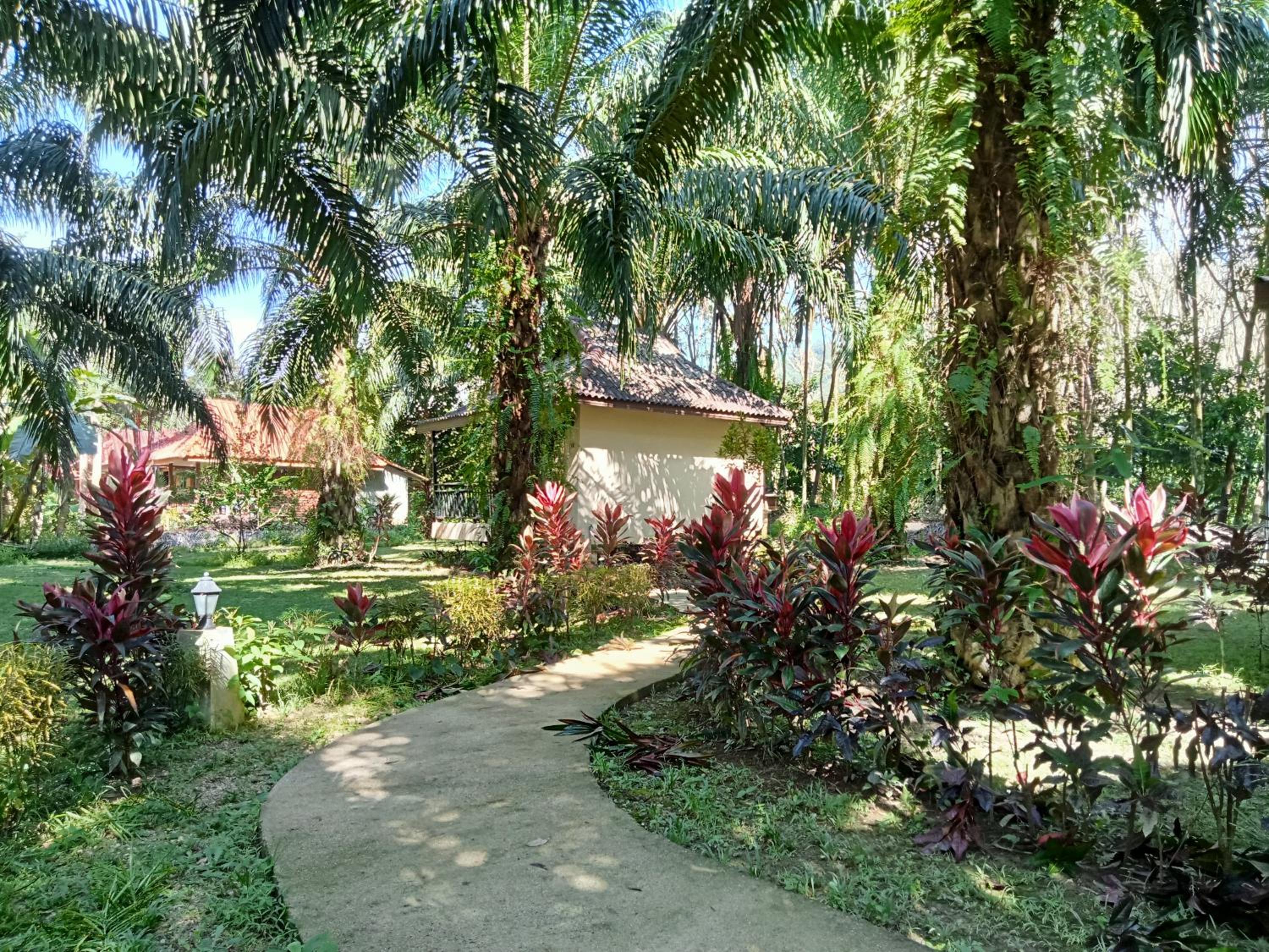 Khao Sok Palm Garden Resort