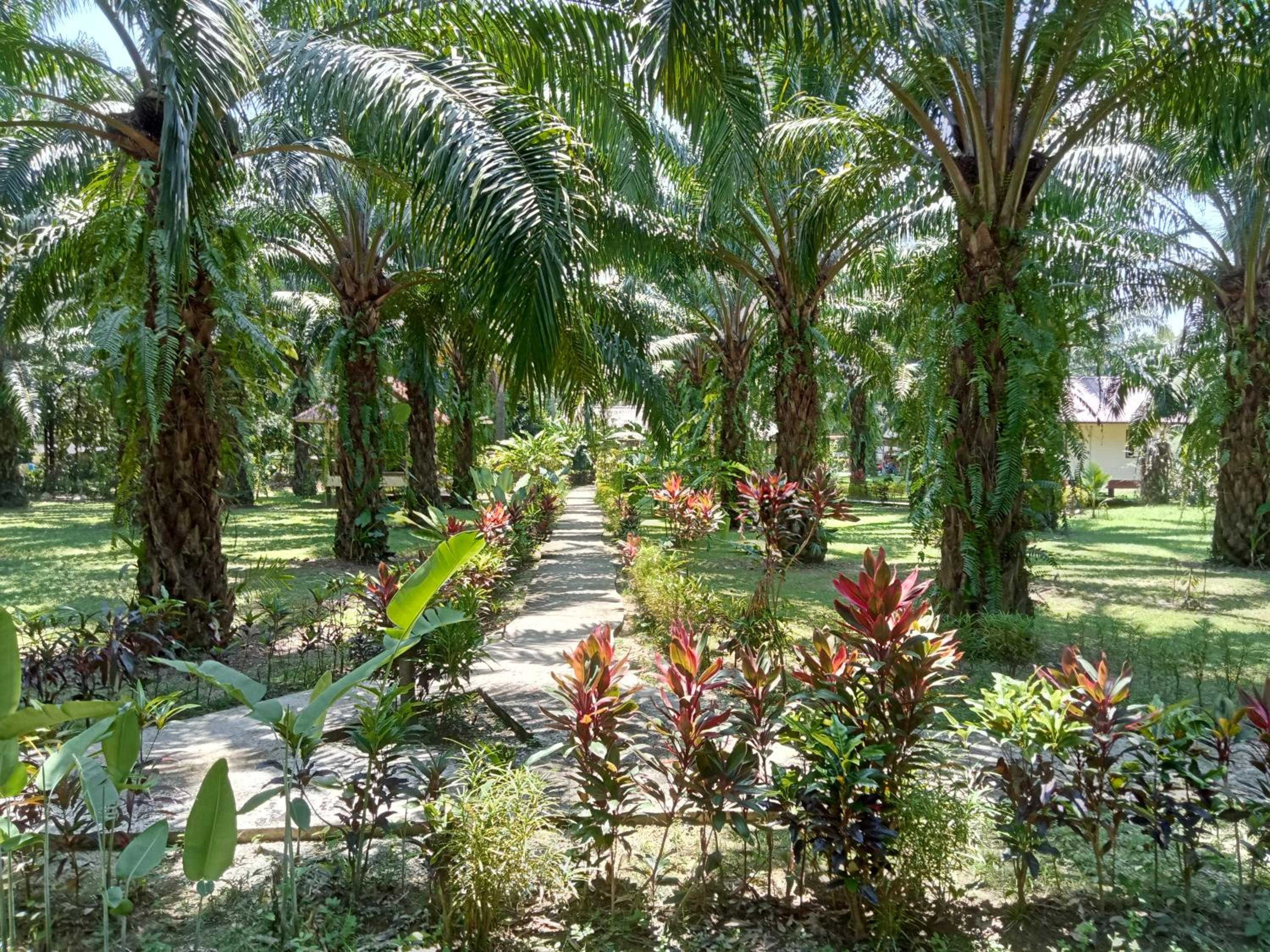 Khao Sok Palm Garden Resort