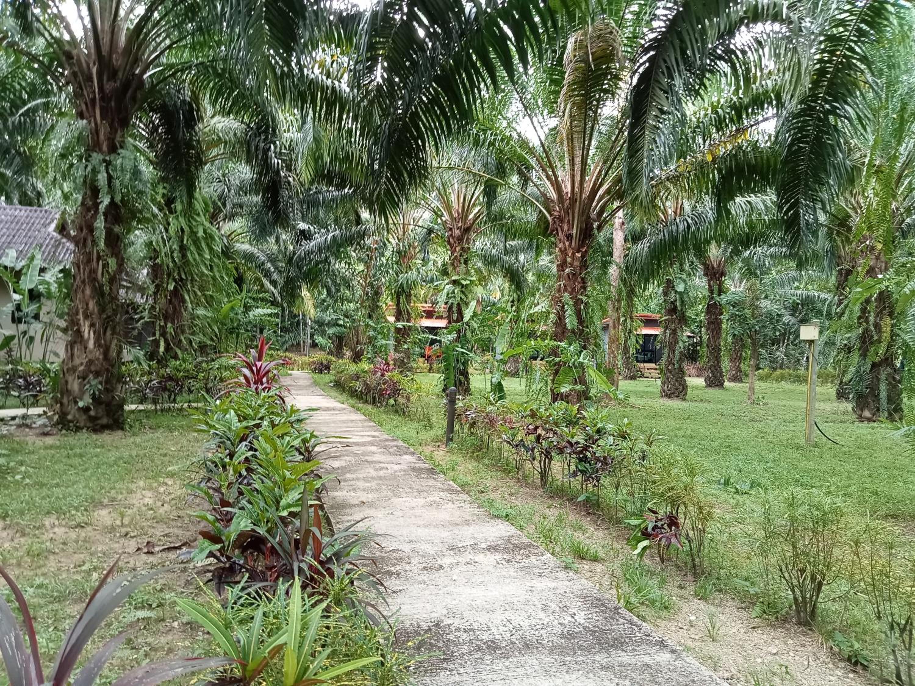 Khao Sok Palm Garden Resort