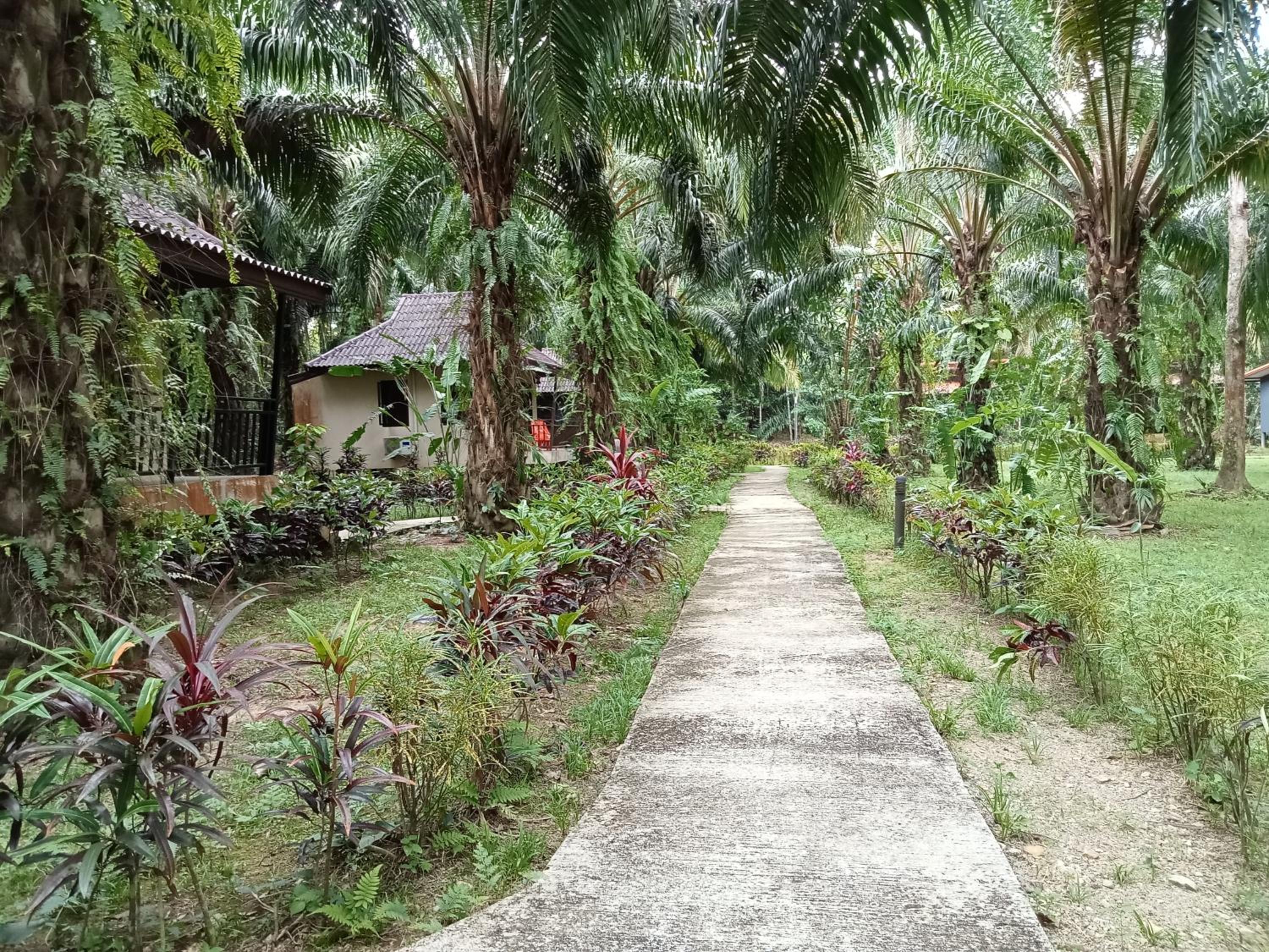 Khao Sok Palm Garden Resort