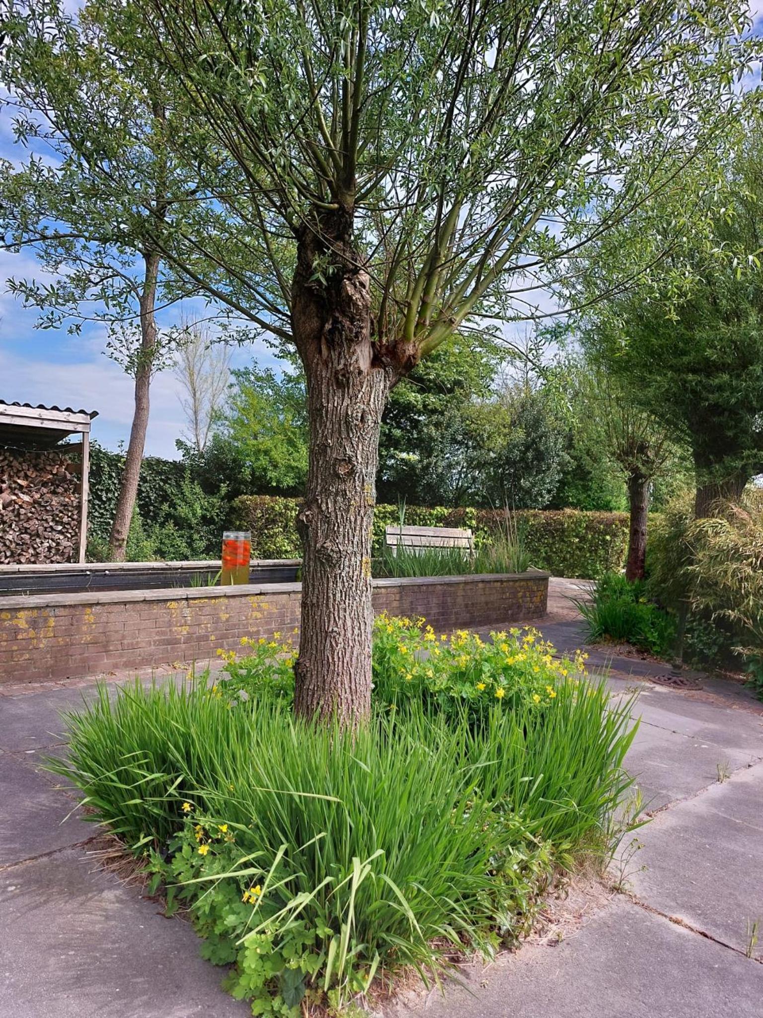 Photo 15