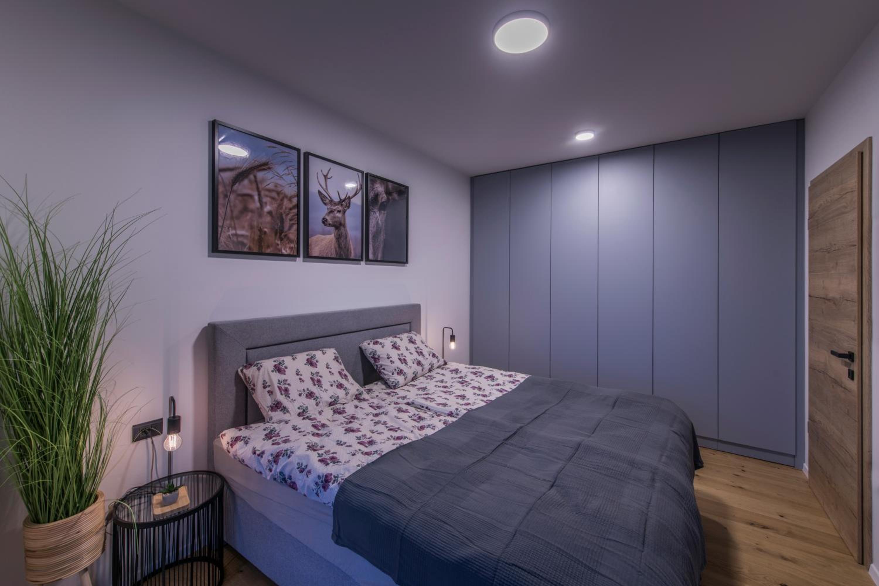 Apartmaji Harpf