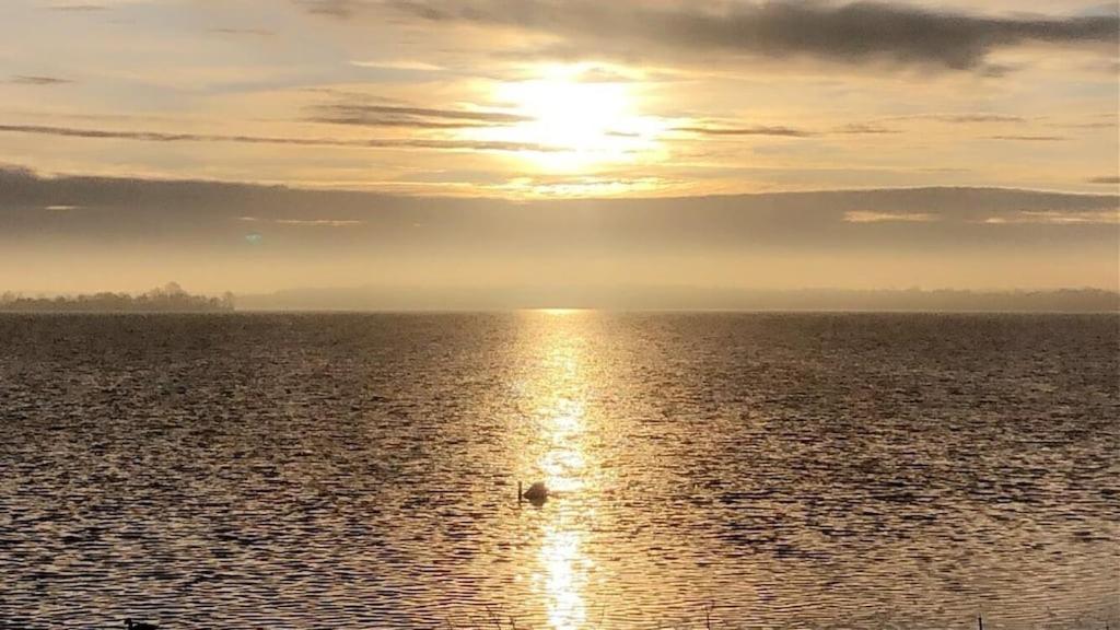 Sun Chaser Bay
