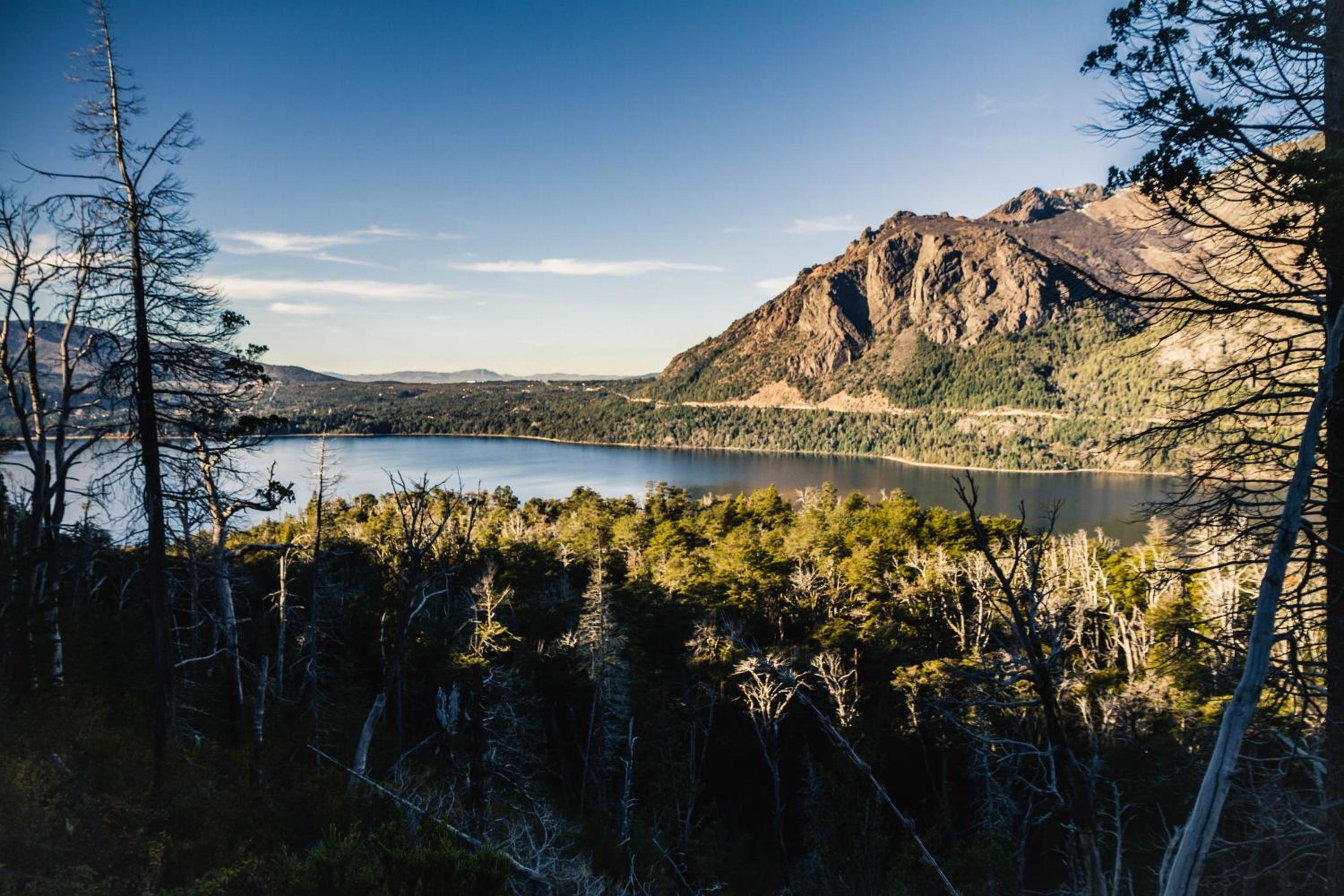 Los Coihues camping & hostel
