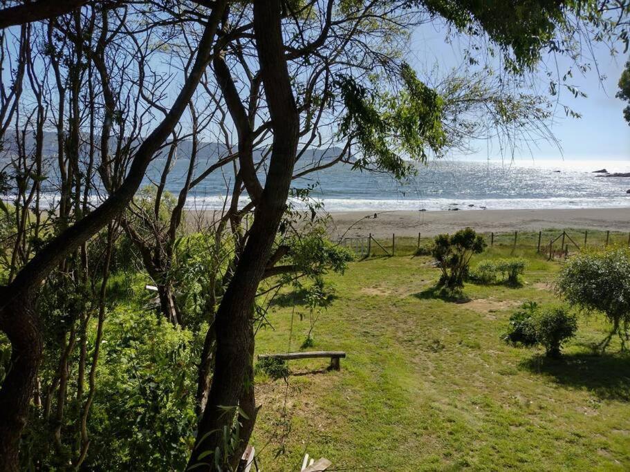 Cabaña en playa San Ignacio