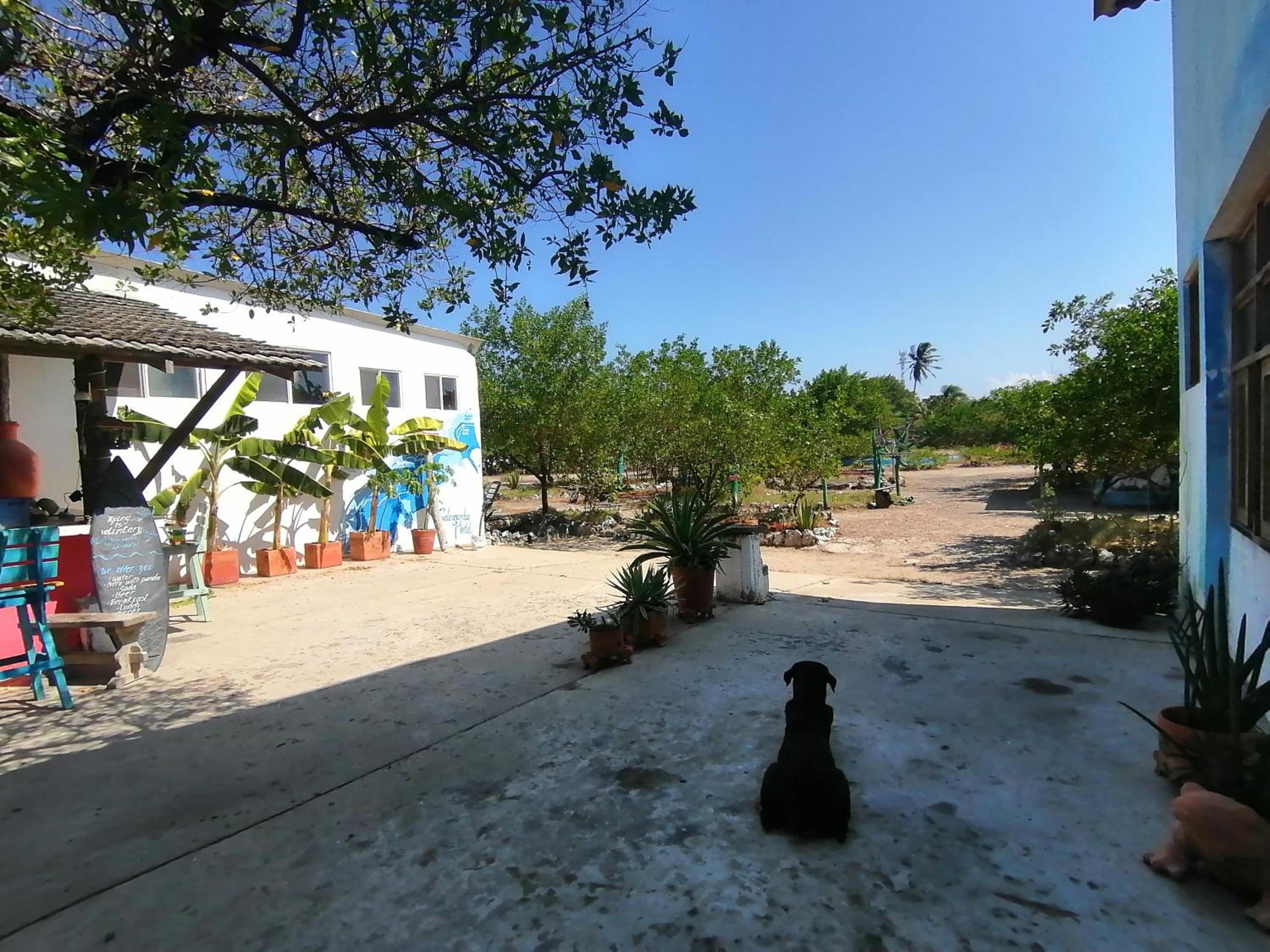 Galerazambahostal