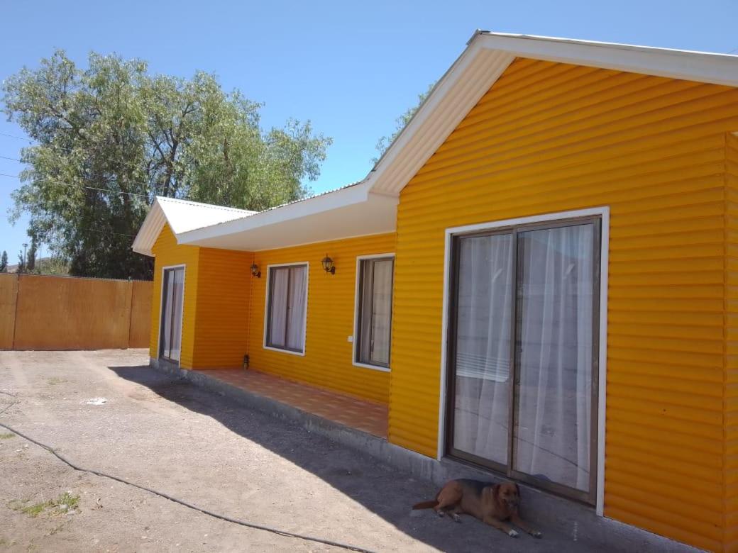 Granja Vip Valle de Elqui