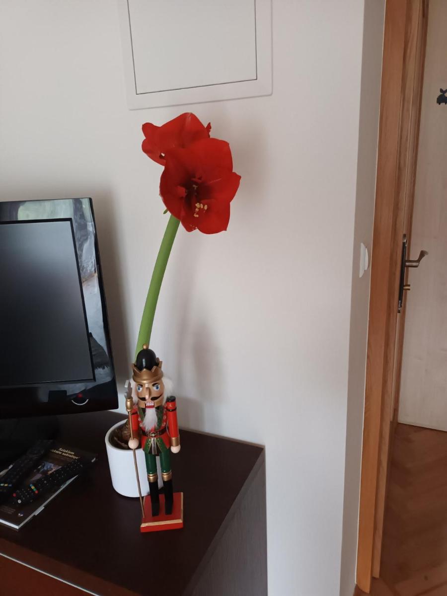 Photo 33