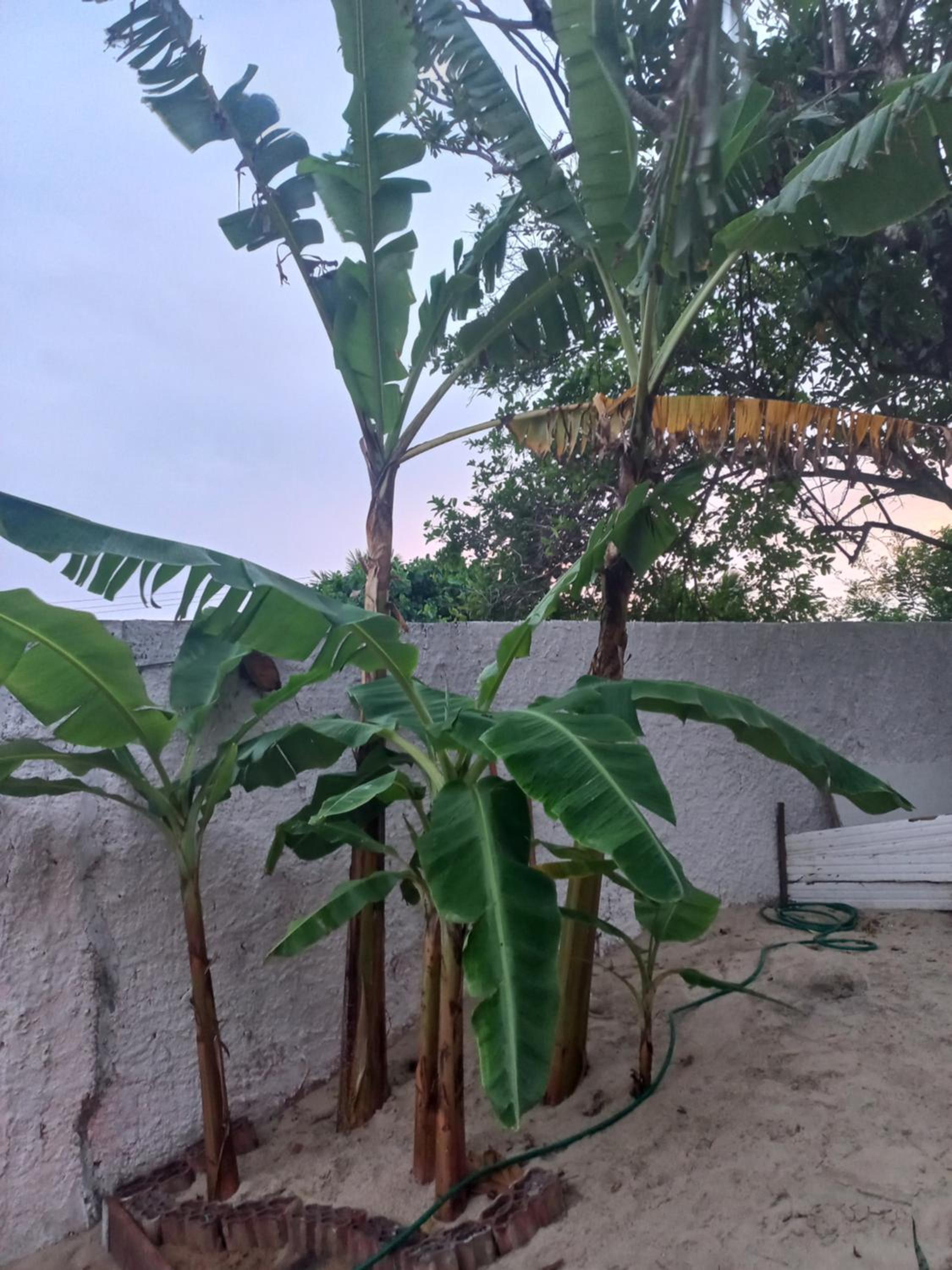Pousada Dubai Home