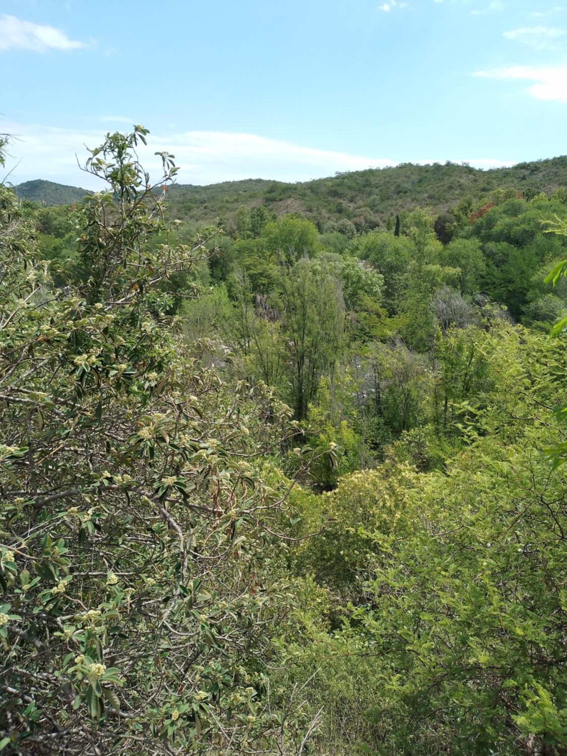 La Guarida