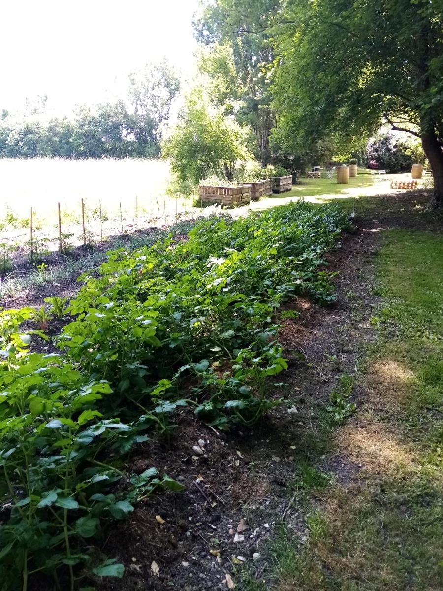 Domaine de Pladuc view 3