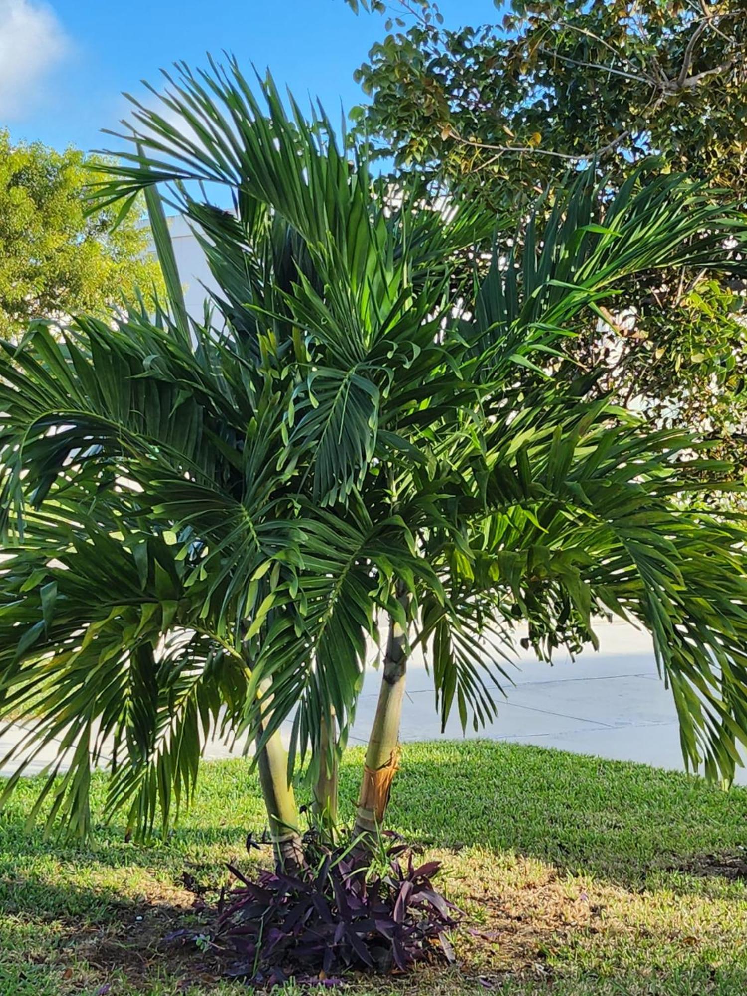LixyLouis minutes from Miami International Airport