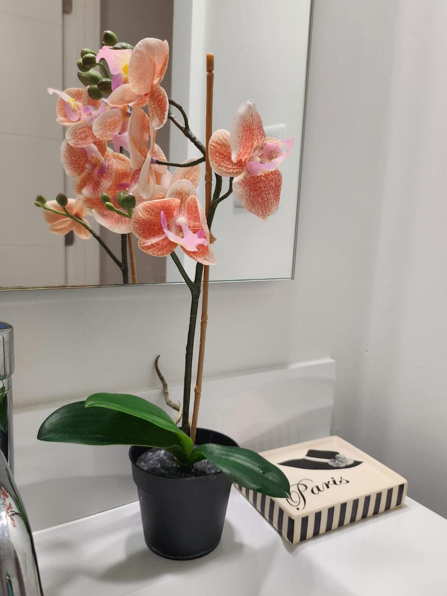LixyLouis minutes from Miami International Airport