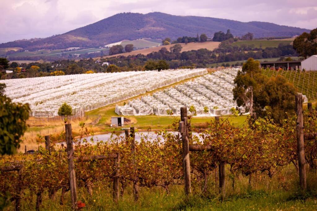 Rose Cottage Yarra Glen