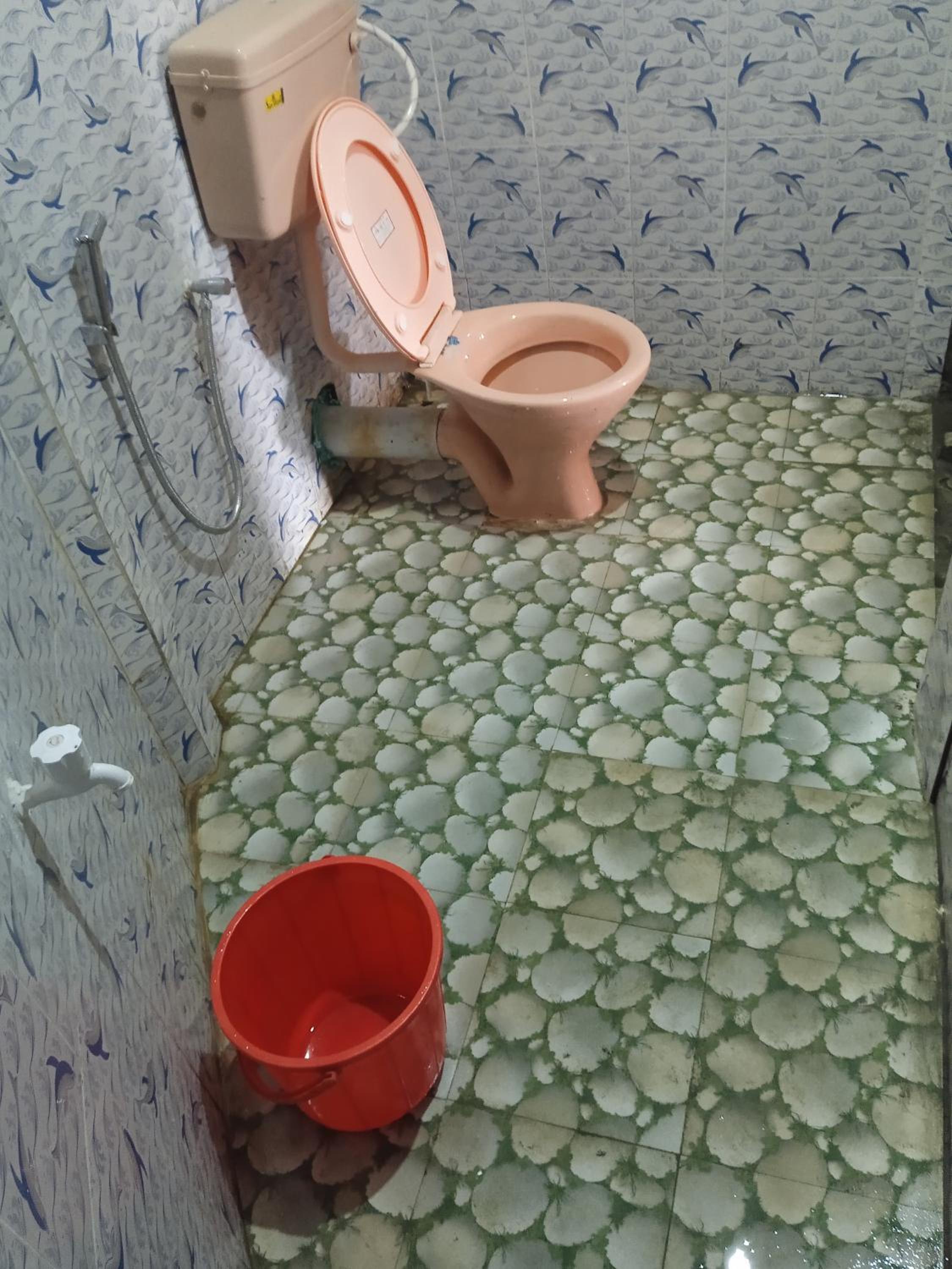 Photo 42