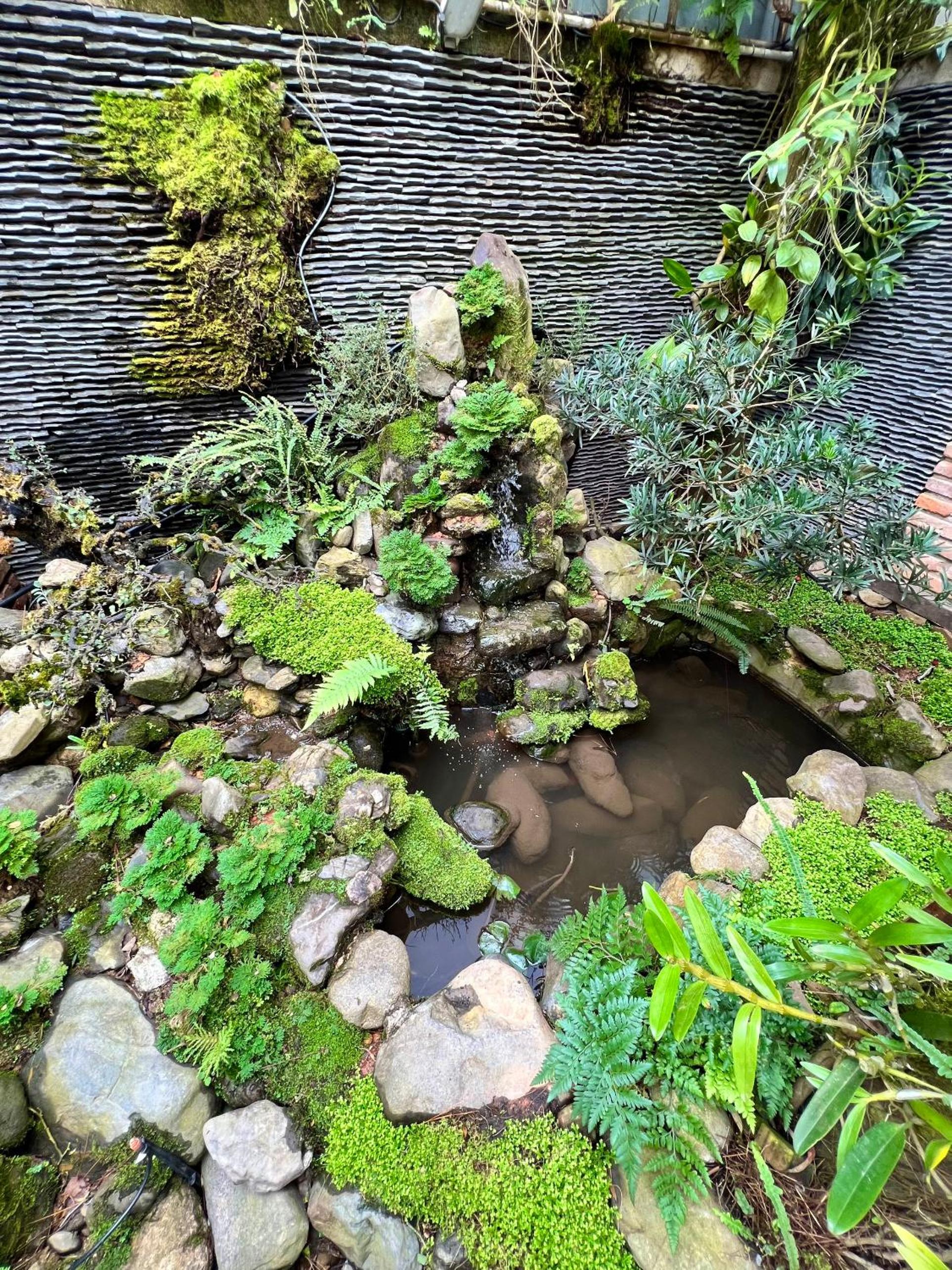Photo 46
