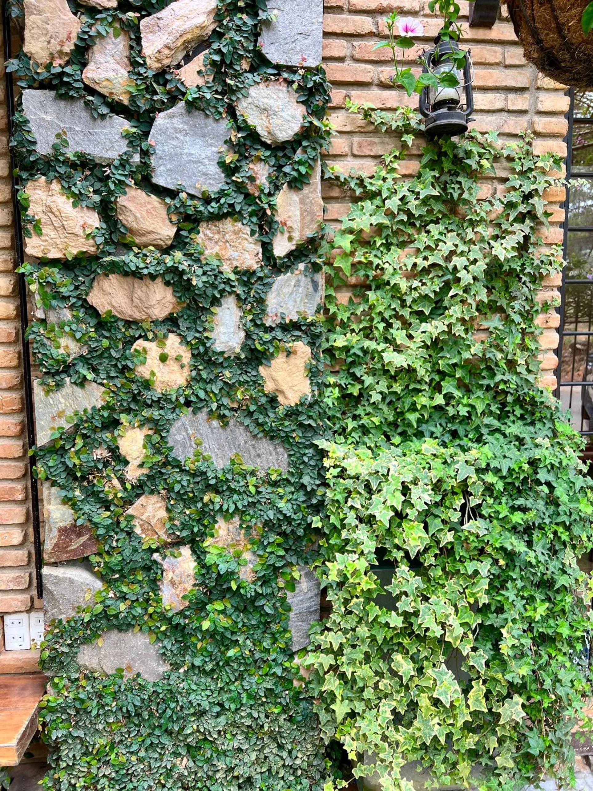 Photo 48