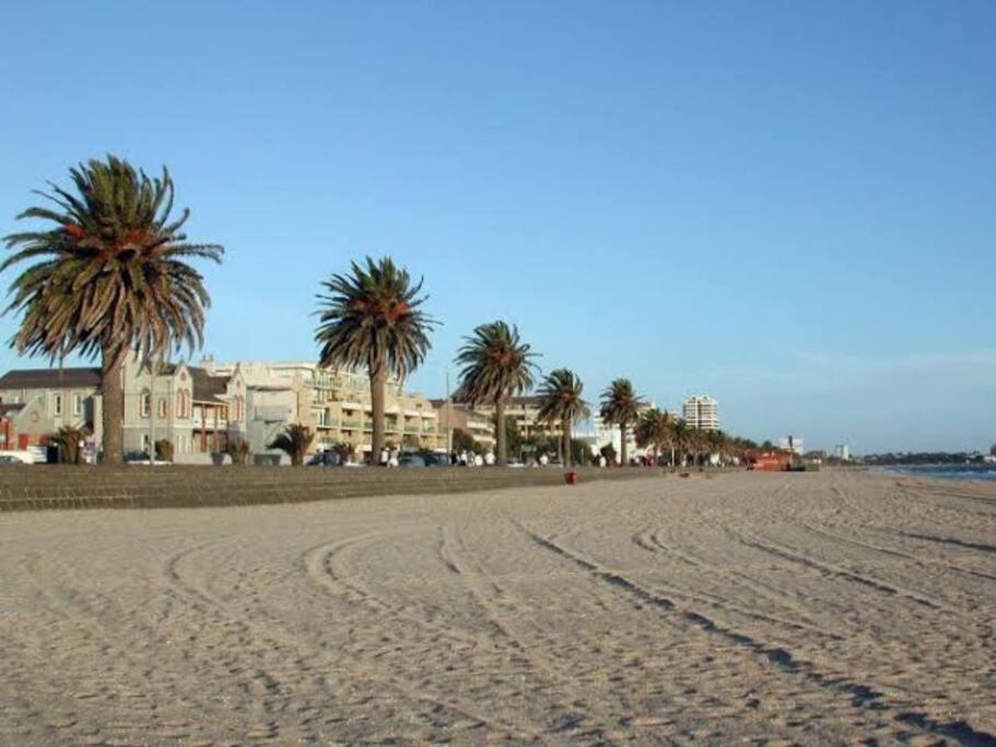 Bayside Melbourne Apartment