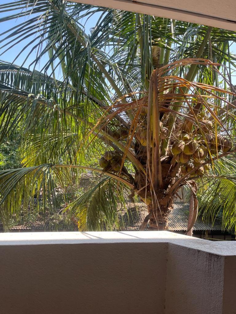RIVER VIEW HOME STAY SERVICE APARTMENT