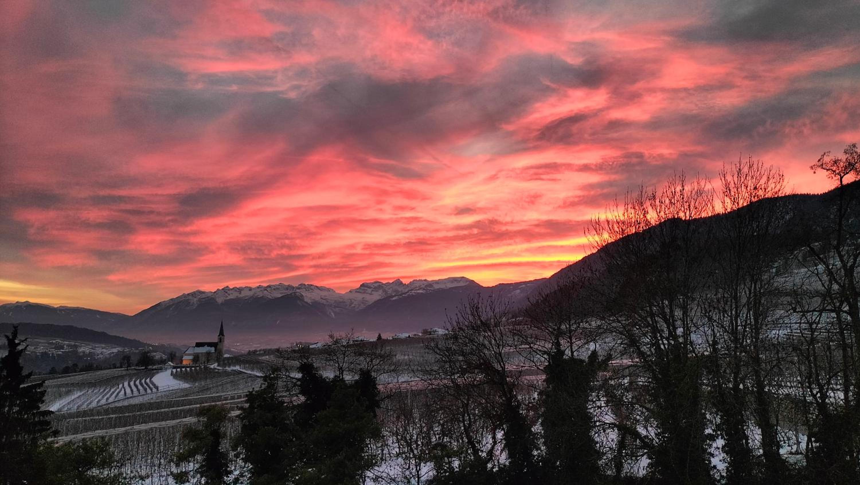 Agritur La Fenice
