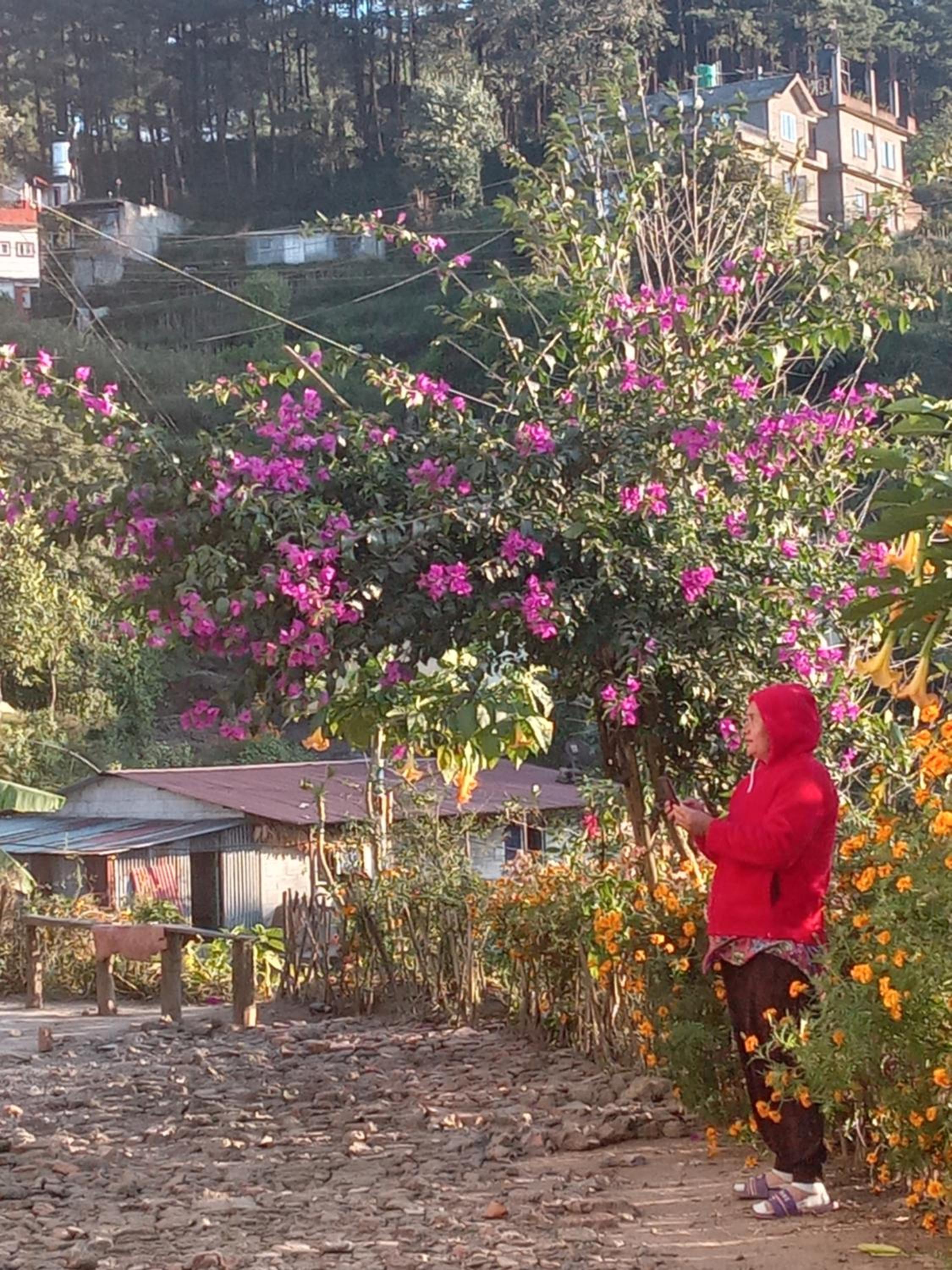 Nagarkot Nayagaun Homestay view 2