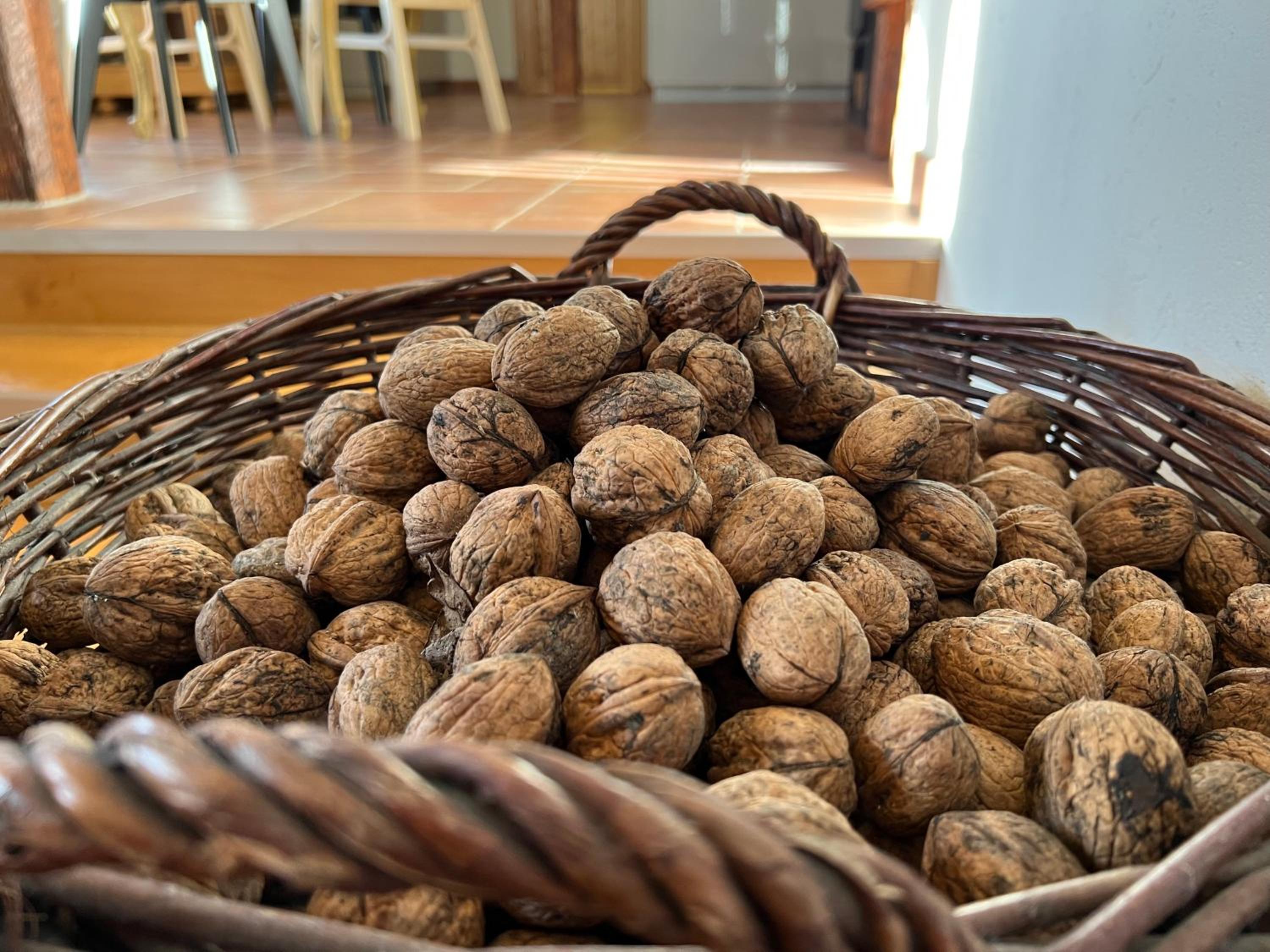 Šumavská chalupa u Petrů