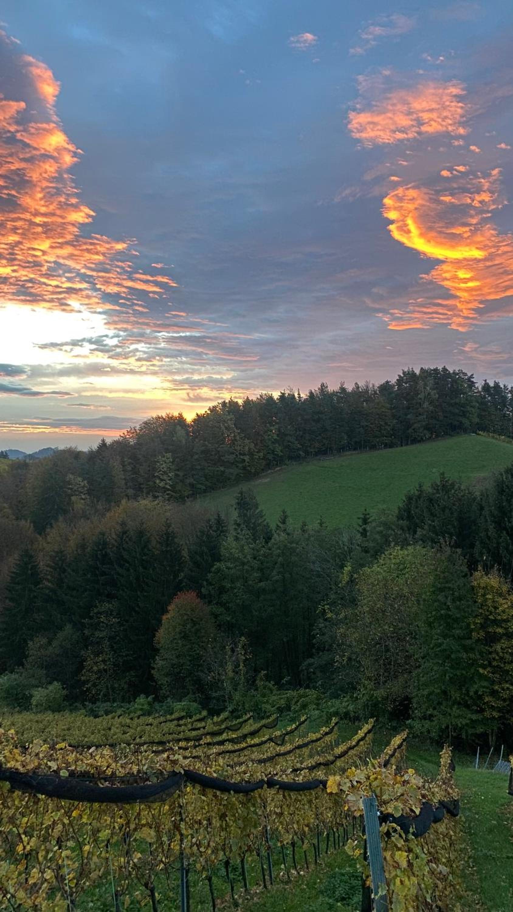 Trautenburg Stub`n view 4
