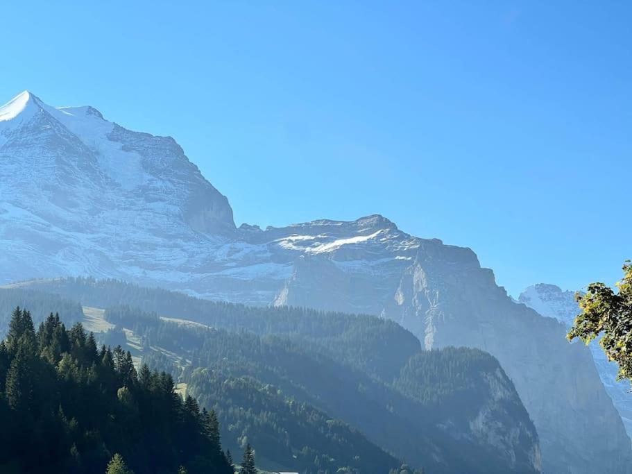 Apartment in Wengen - Amazing views, centrally located by train station