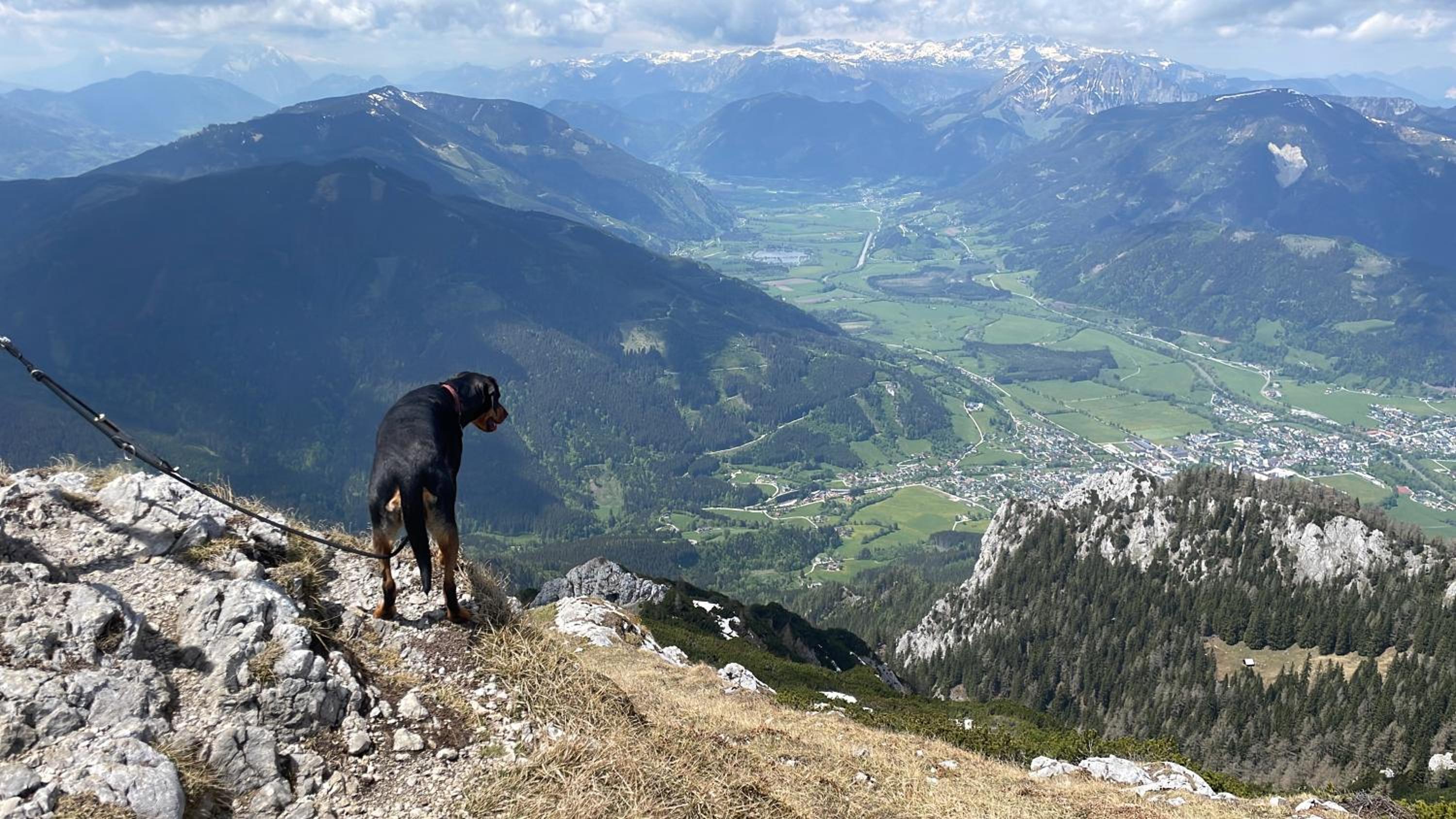Berghaus Gesäuse Pension