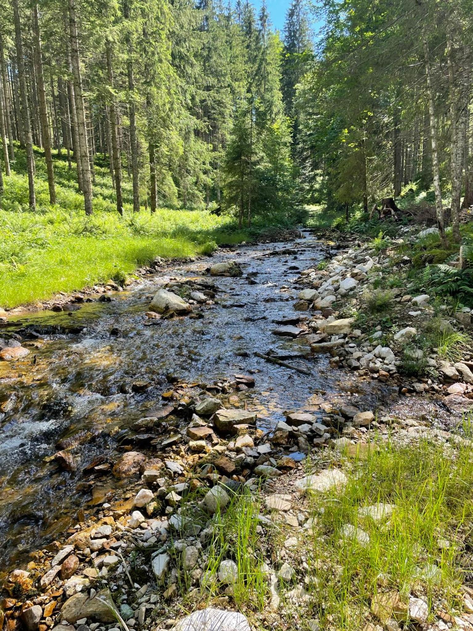 Berghaus Gesäuse Pension