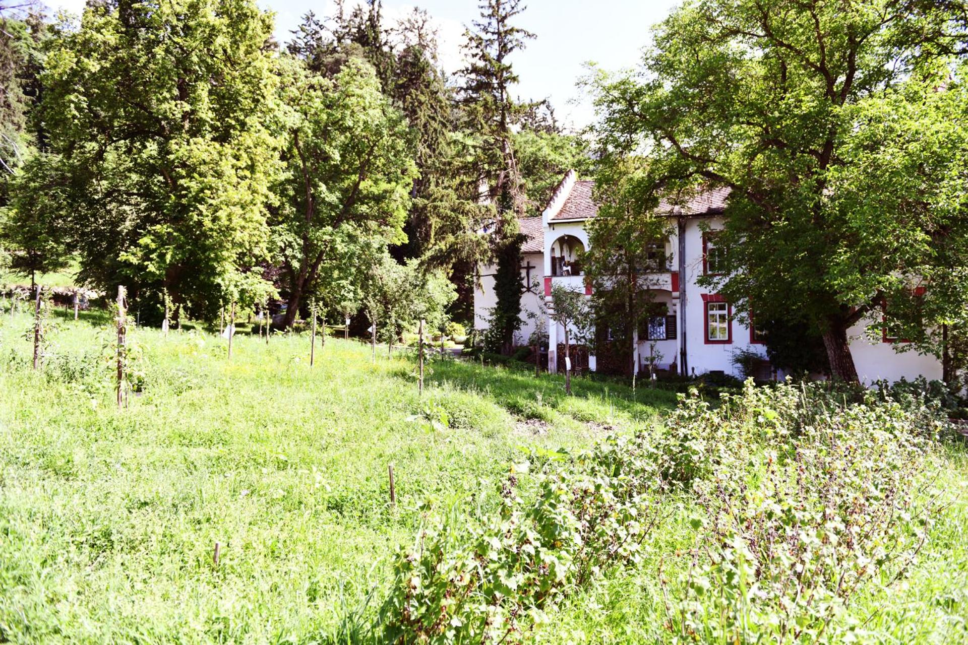 Photo 100