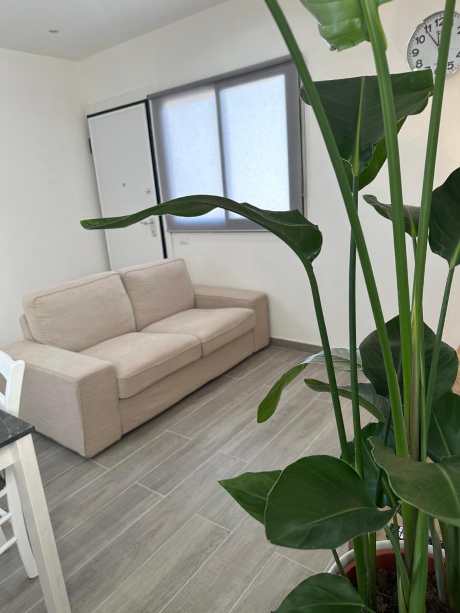 Curia Apartment