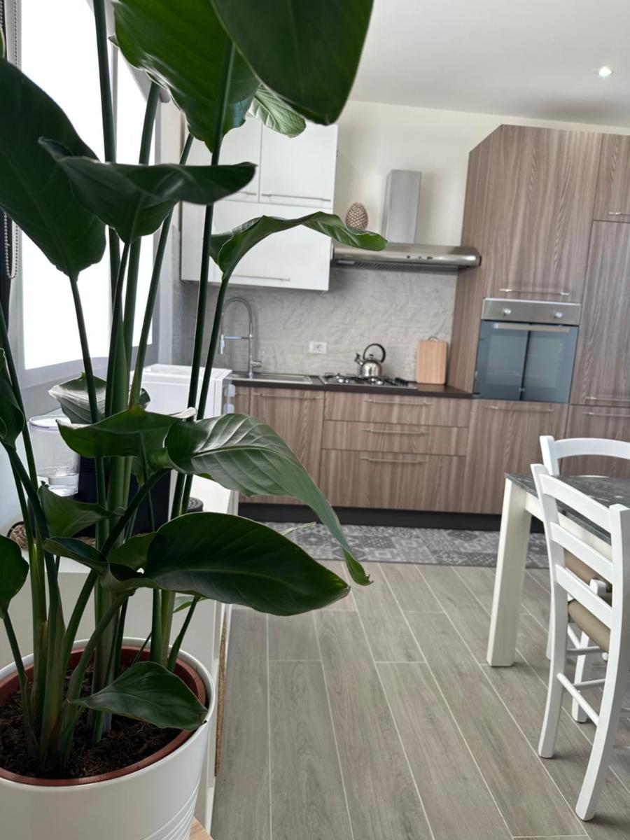 Curia Apartment