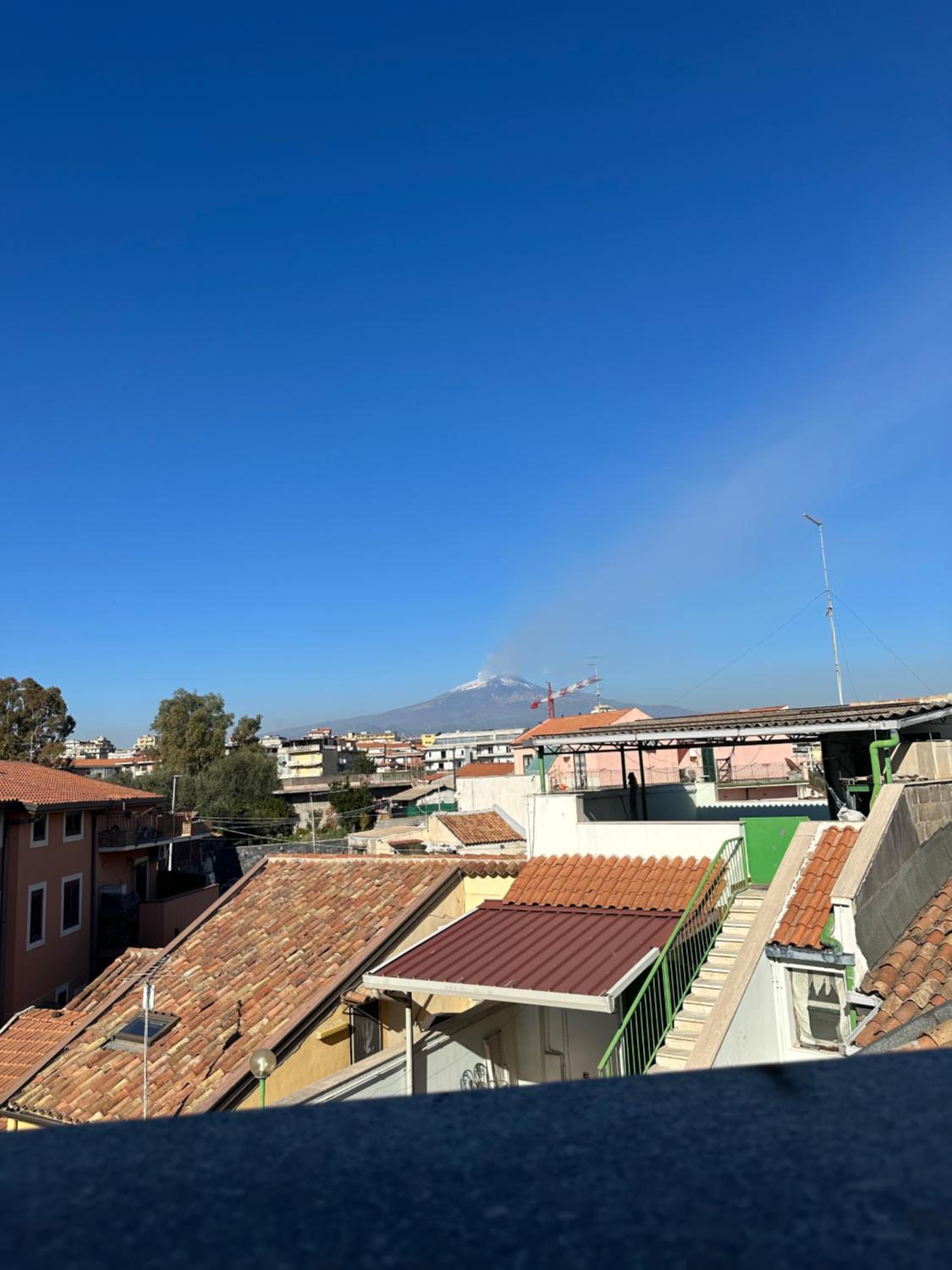 Curia Apartment