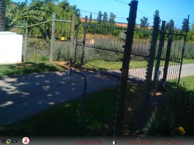 Photo 26