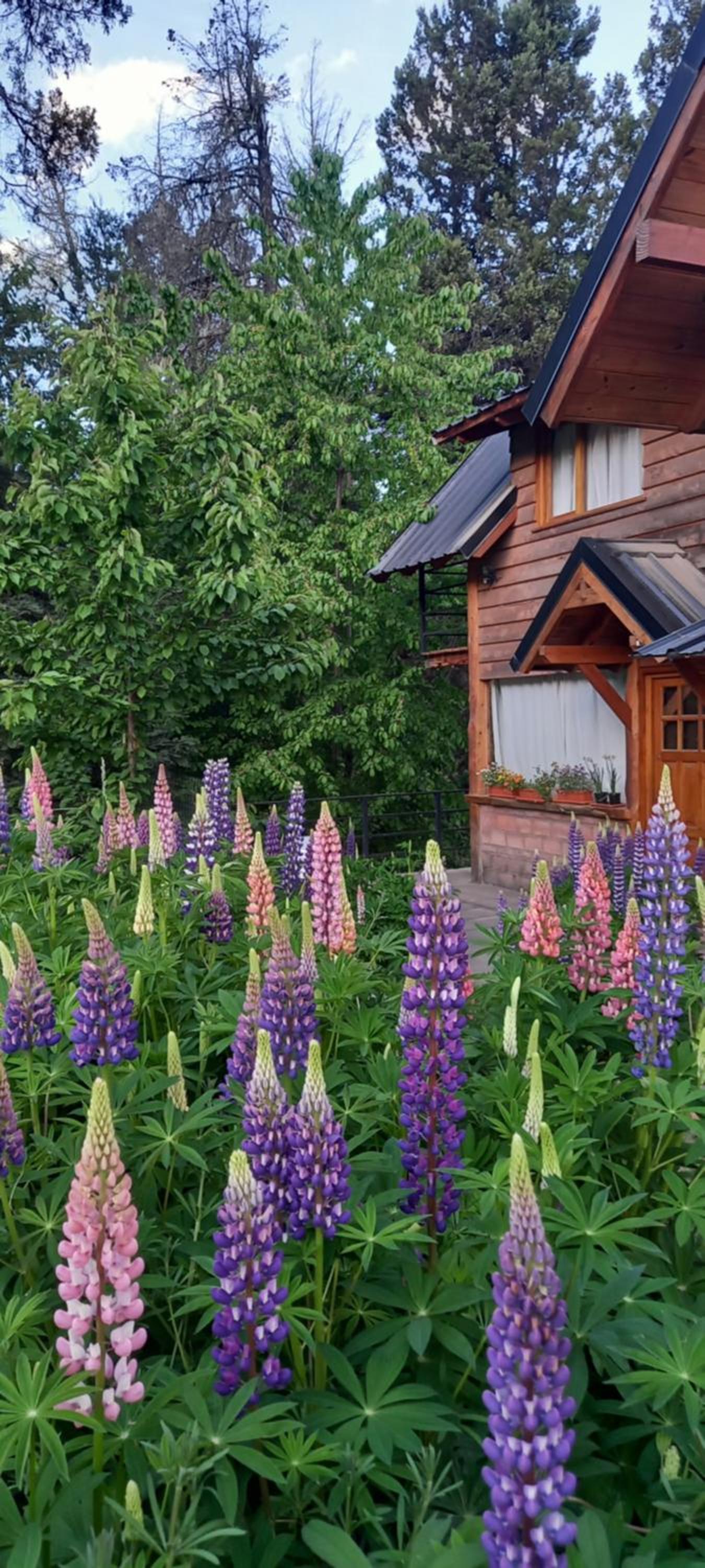 Cabañas km7 Bariloche