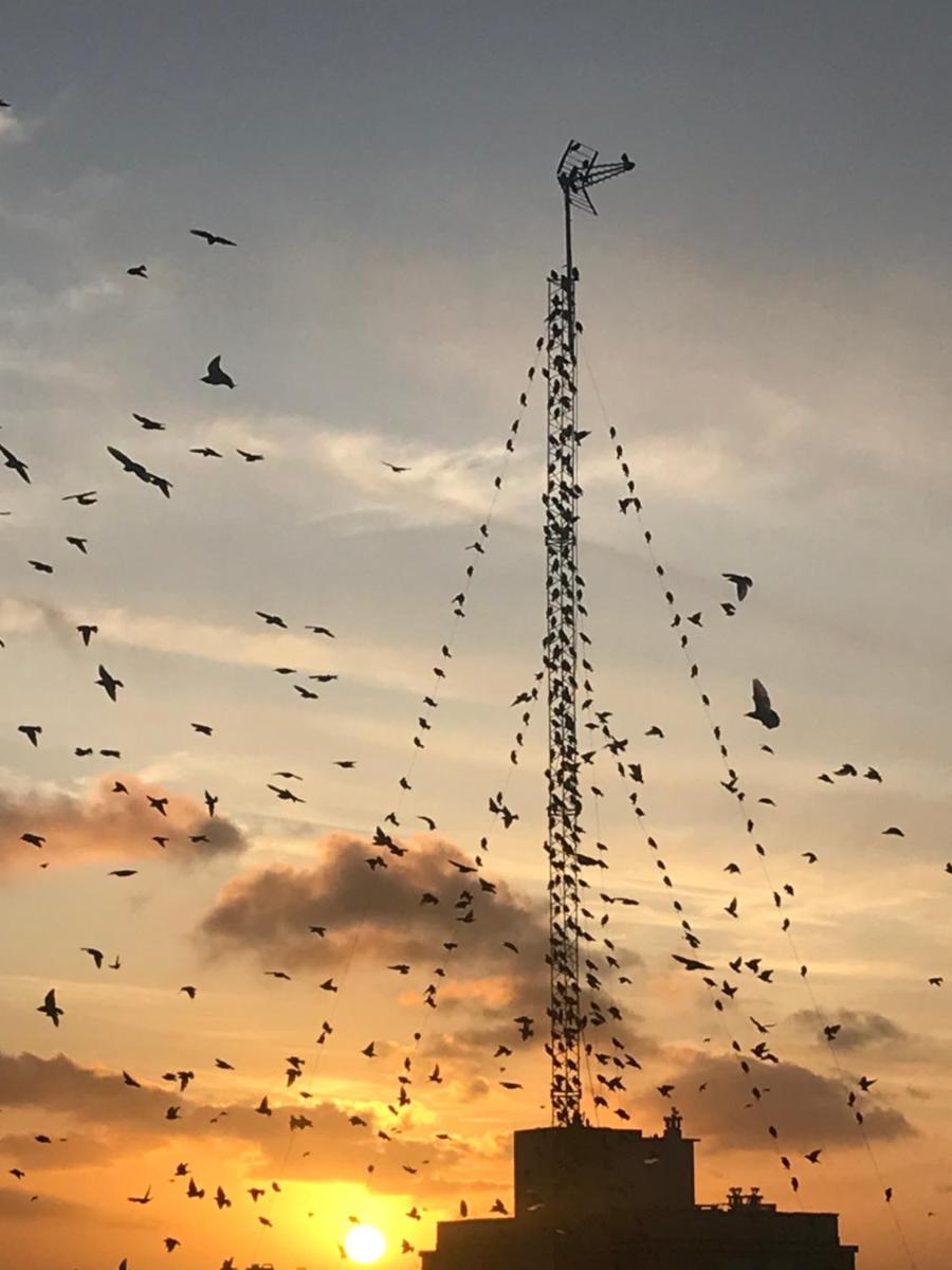 Hermosos atardeceres …