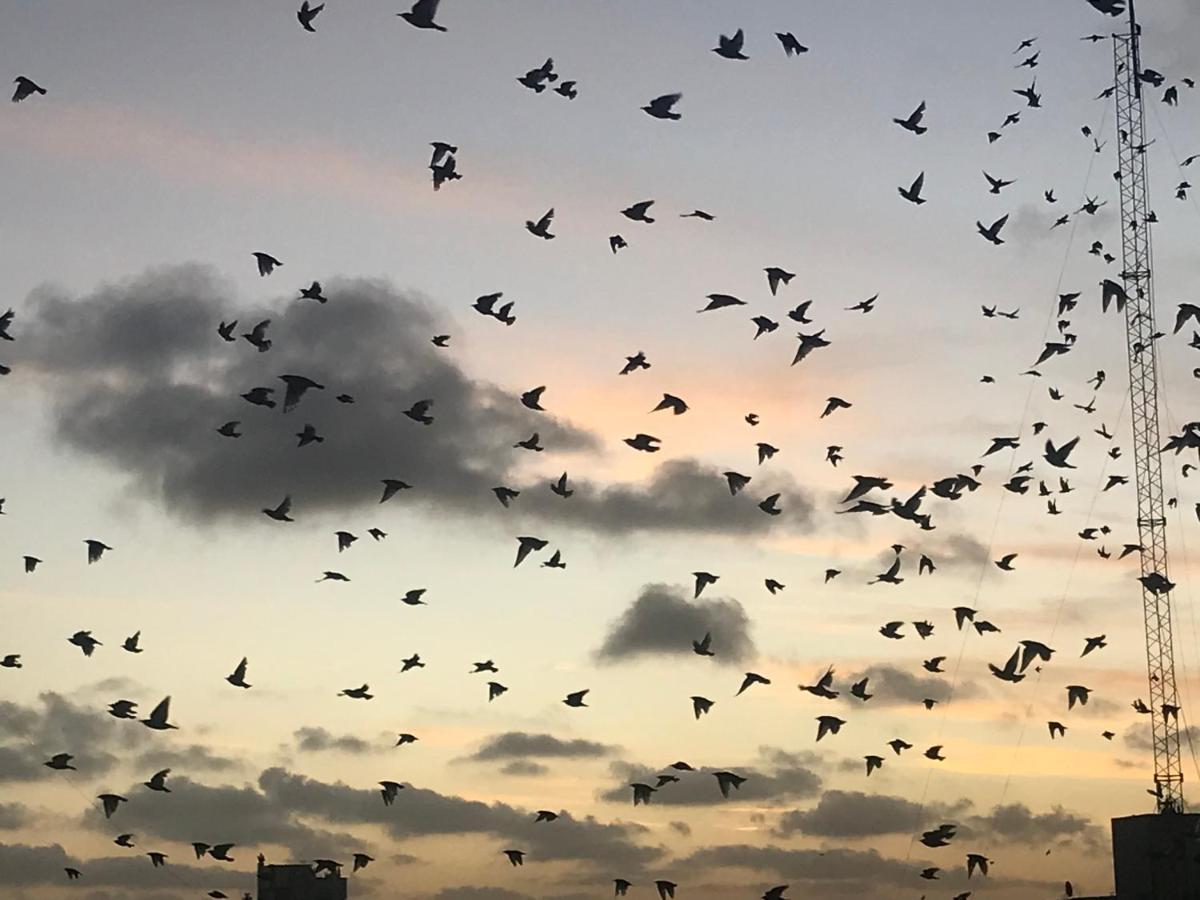 Hermosos atardeceres …