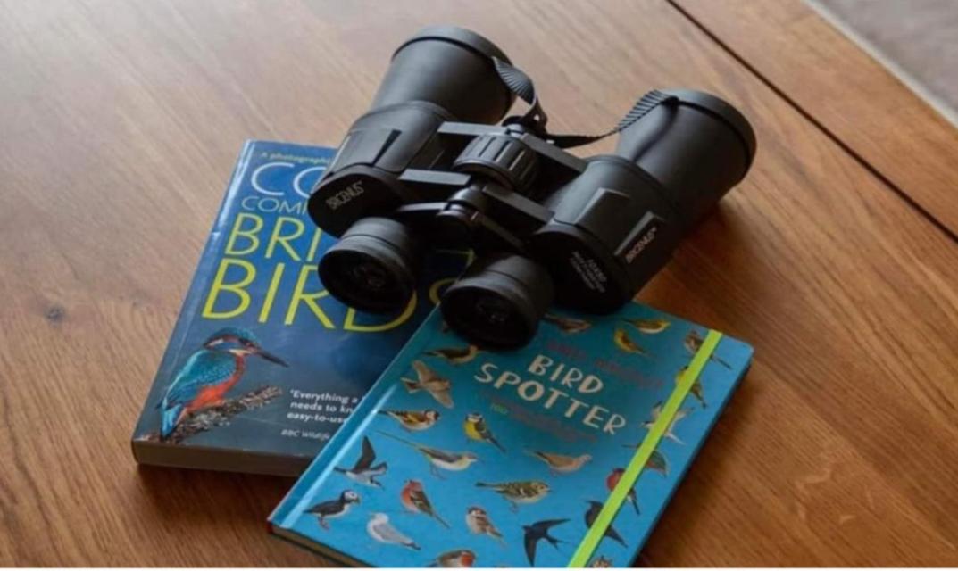 The Gull & Puffin Cresswell view 4